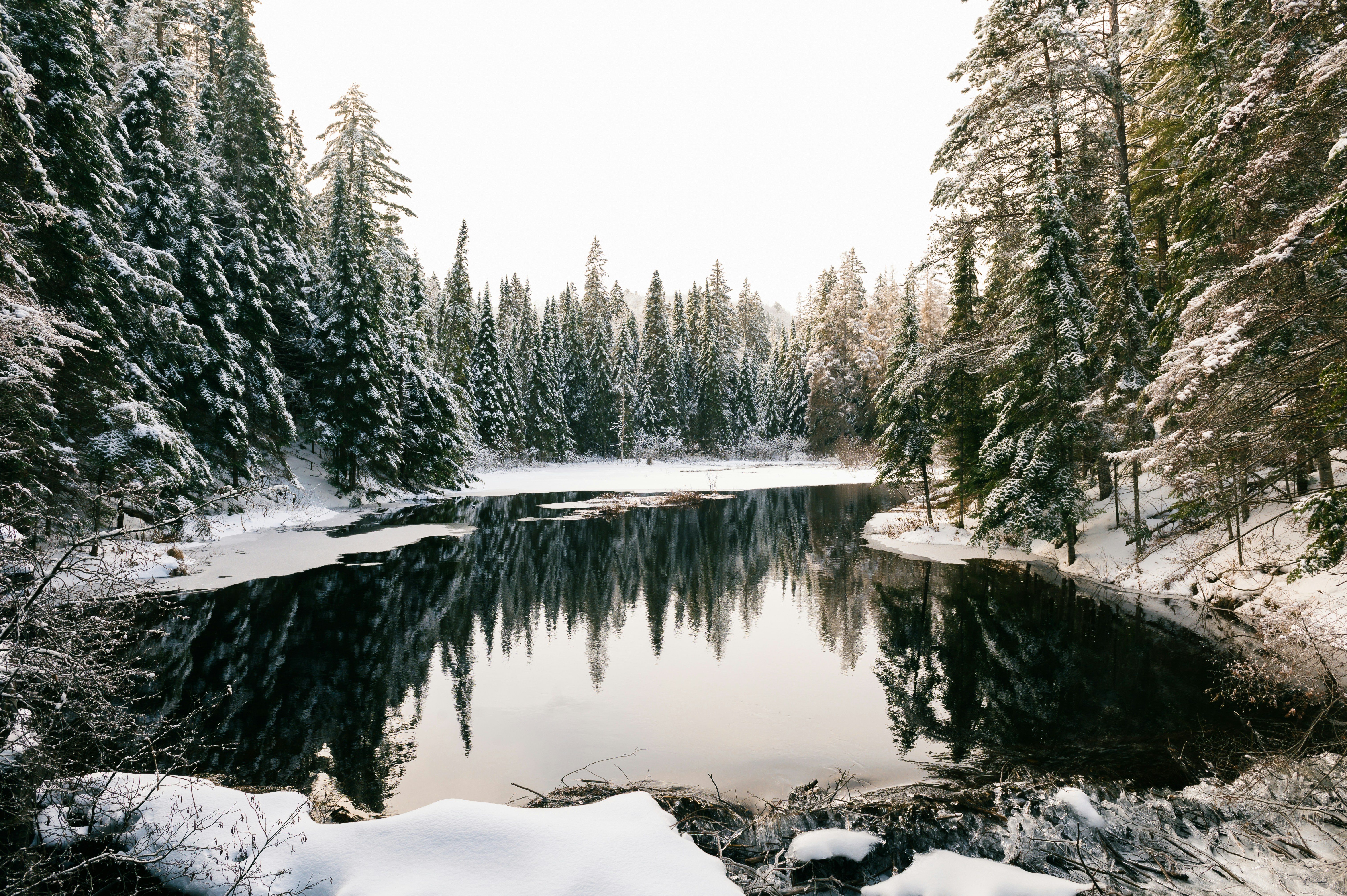 Photo by coolguyaaron