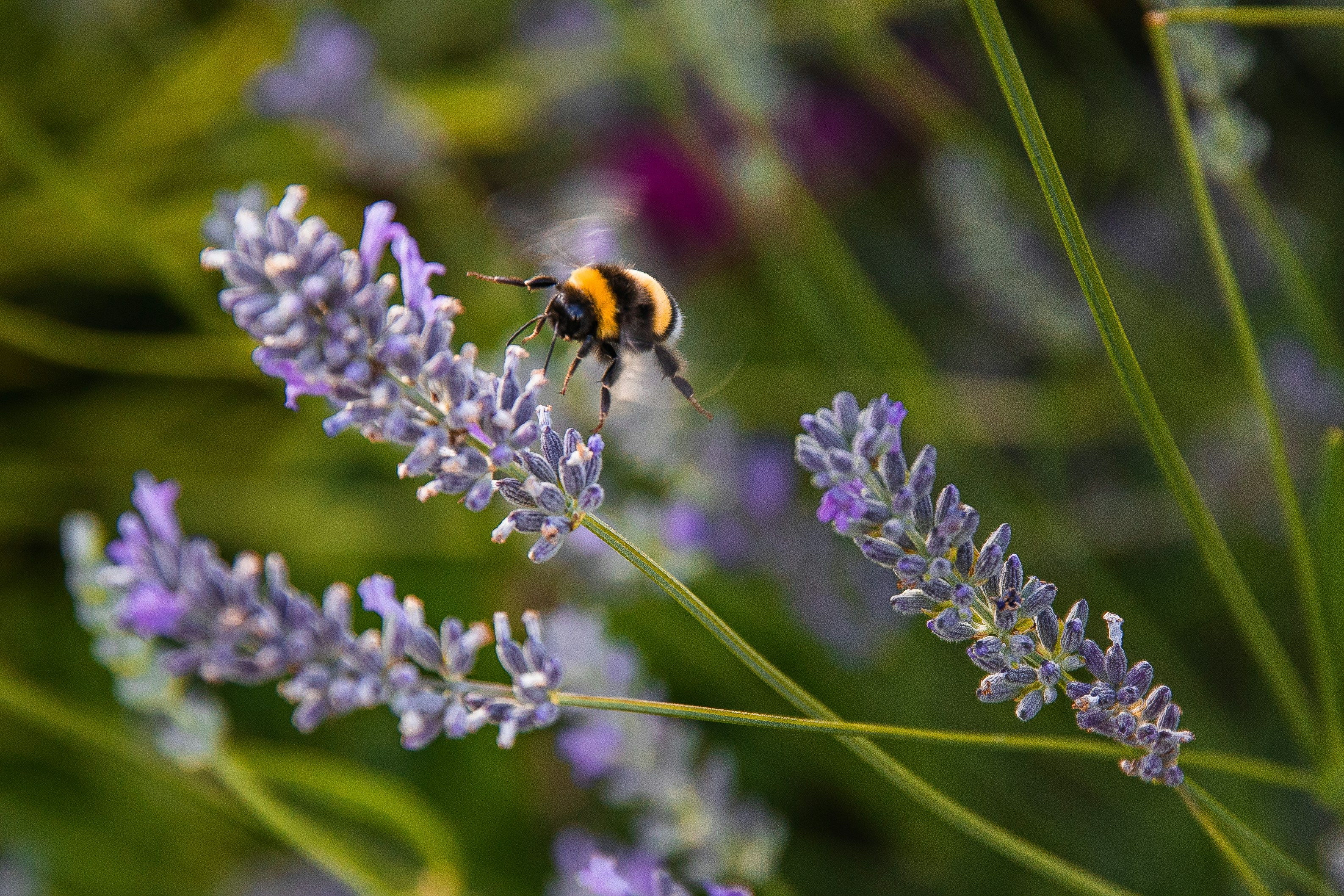 Photo by keepxploring