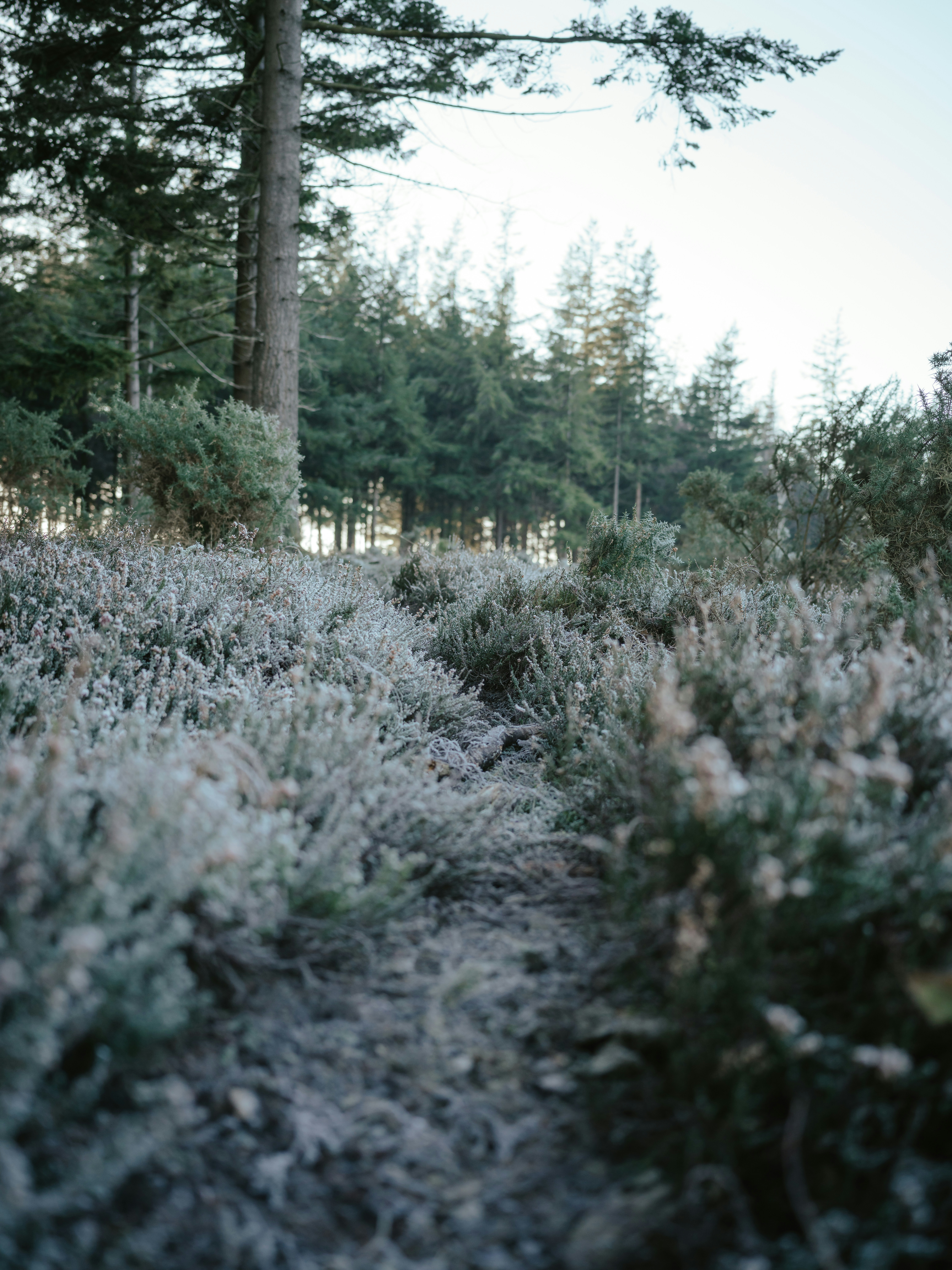 Photo by anniespratt