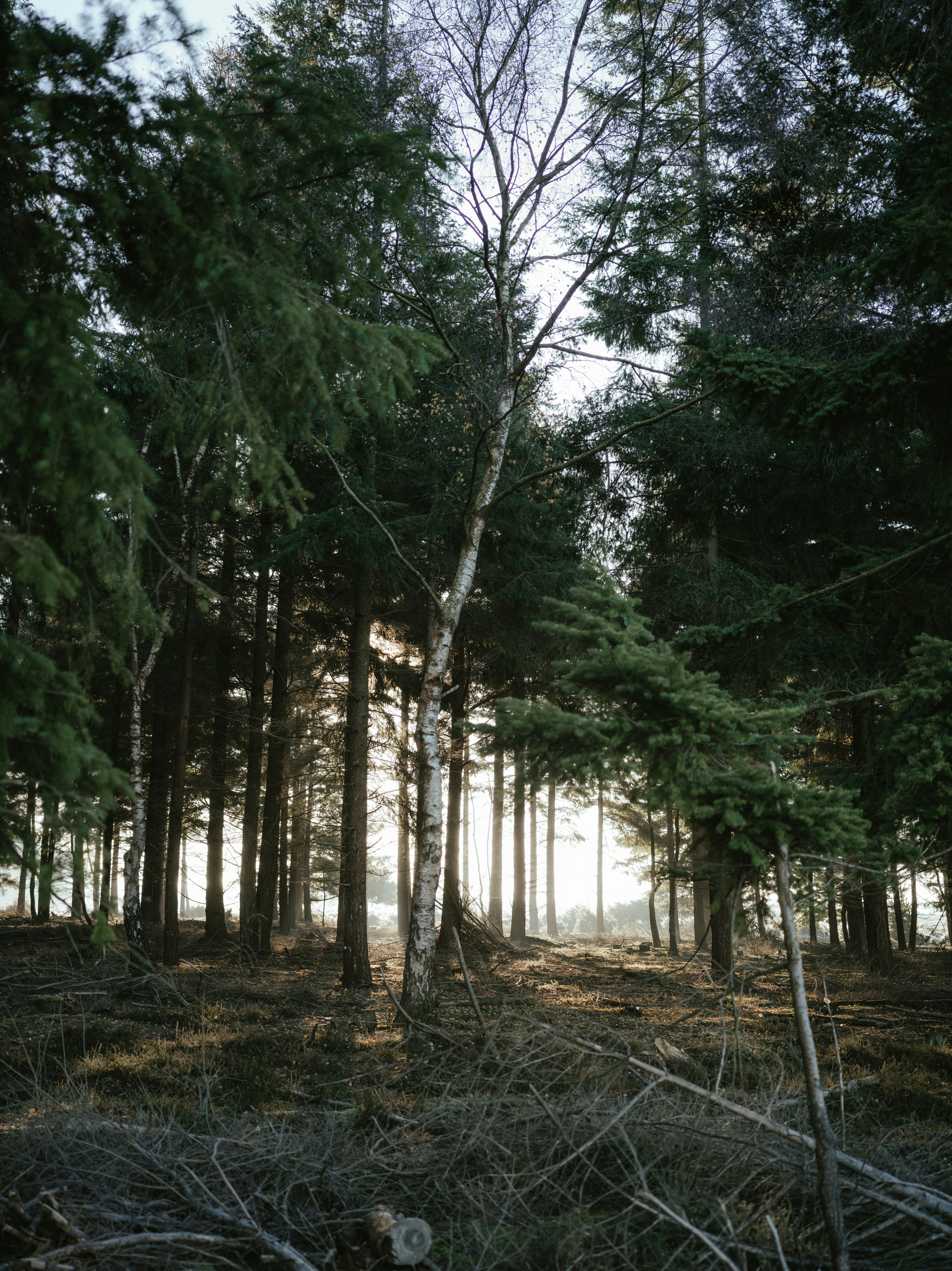 Photo by anniespratt