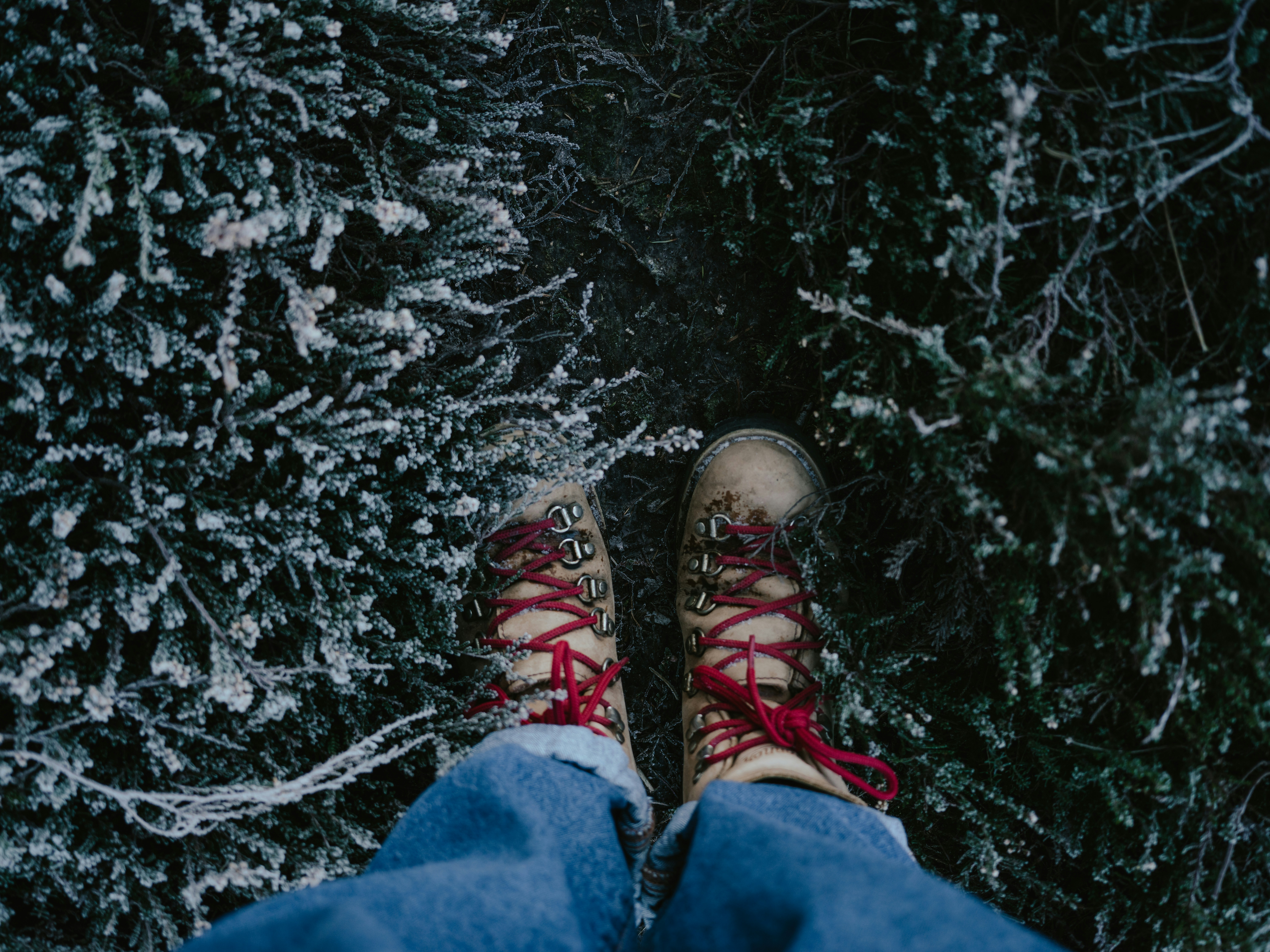 Photo by anniespratt