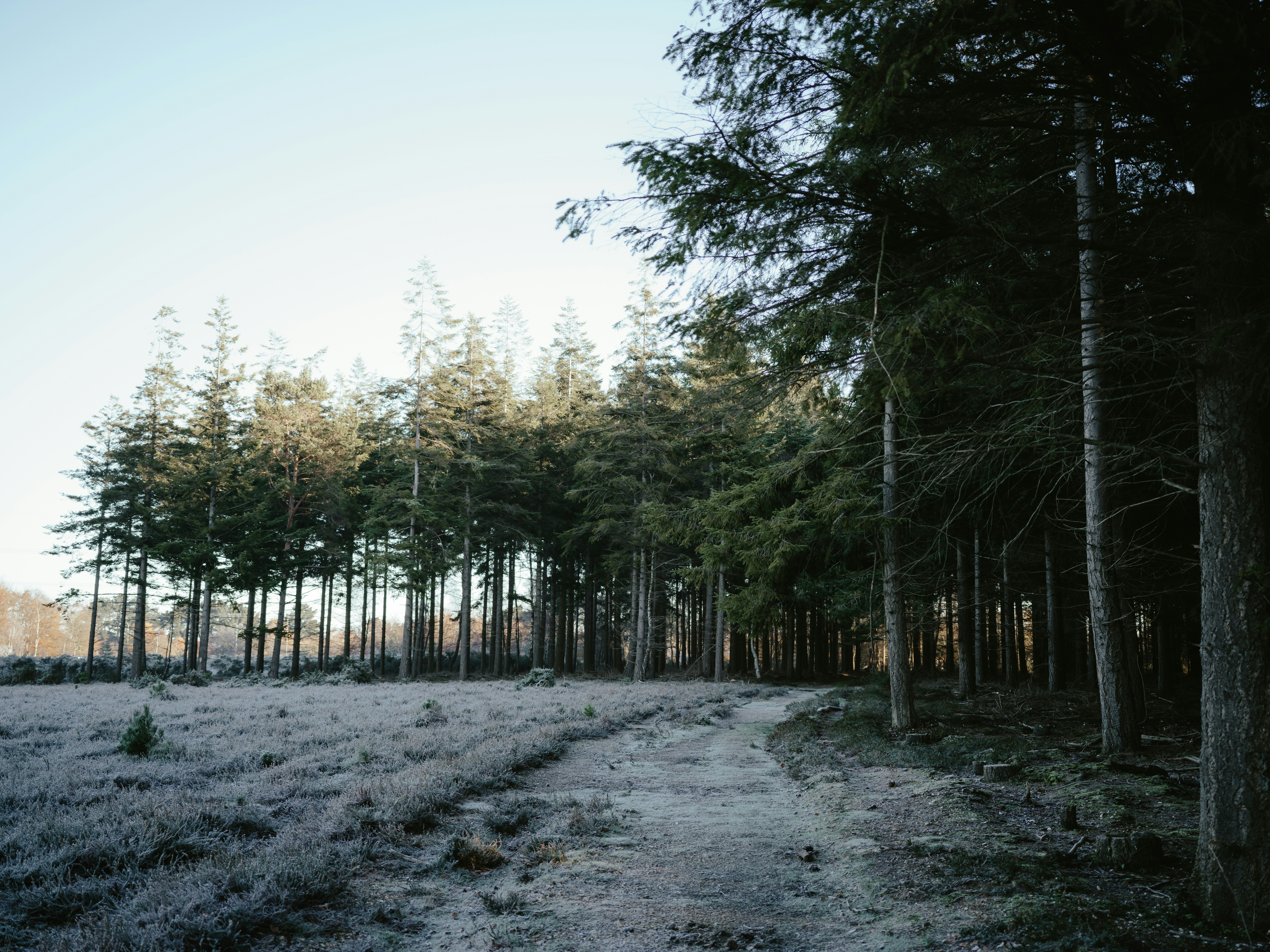 Photo by anniespratt