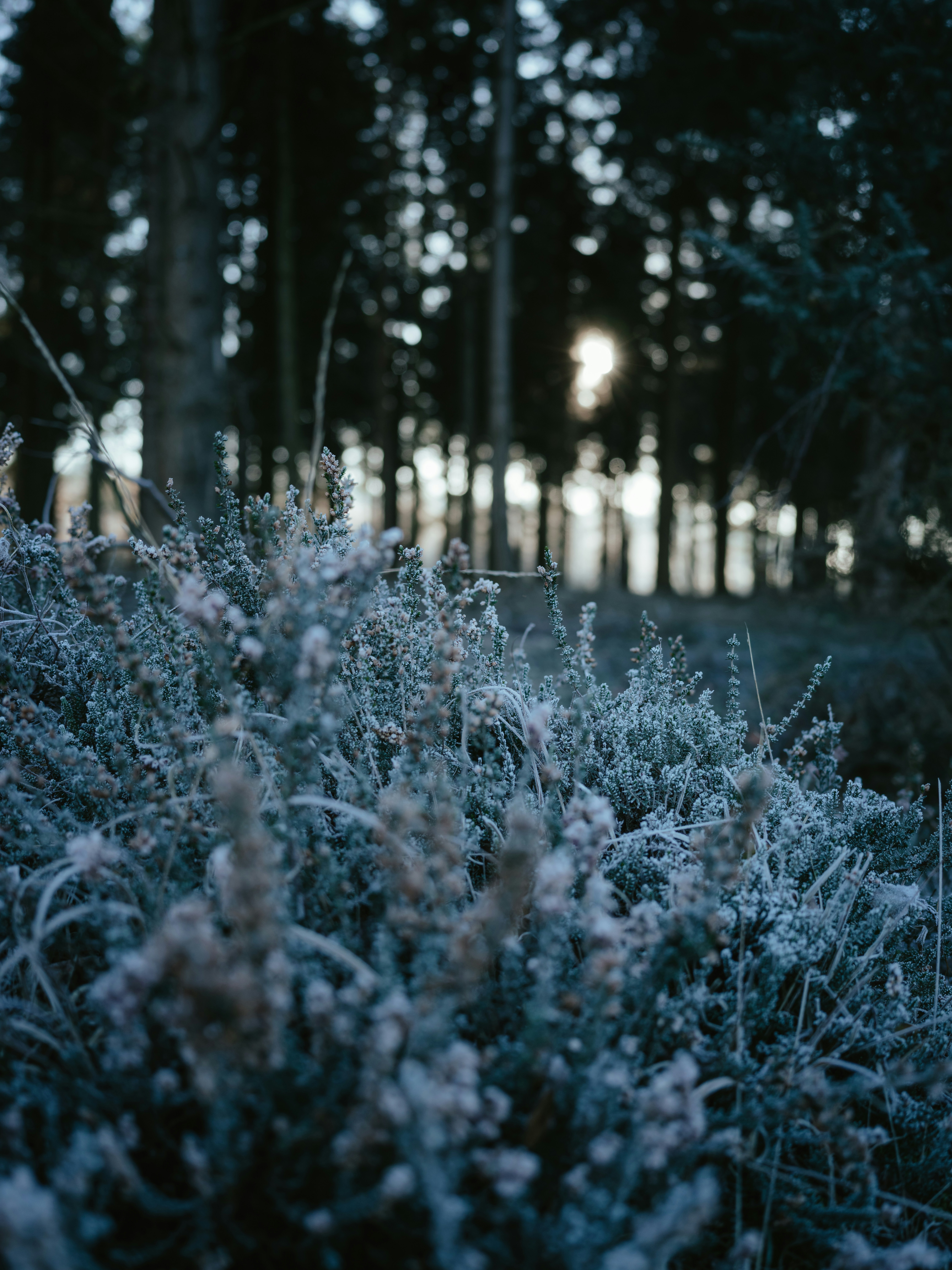 Photo by anniespratt