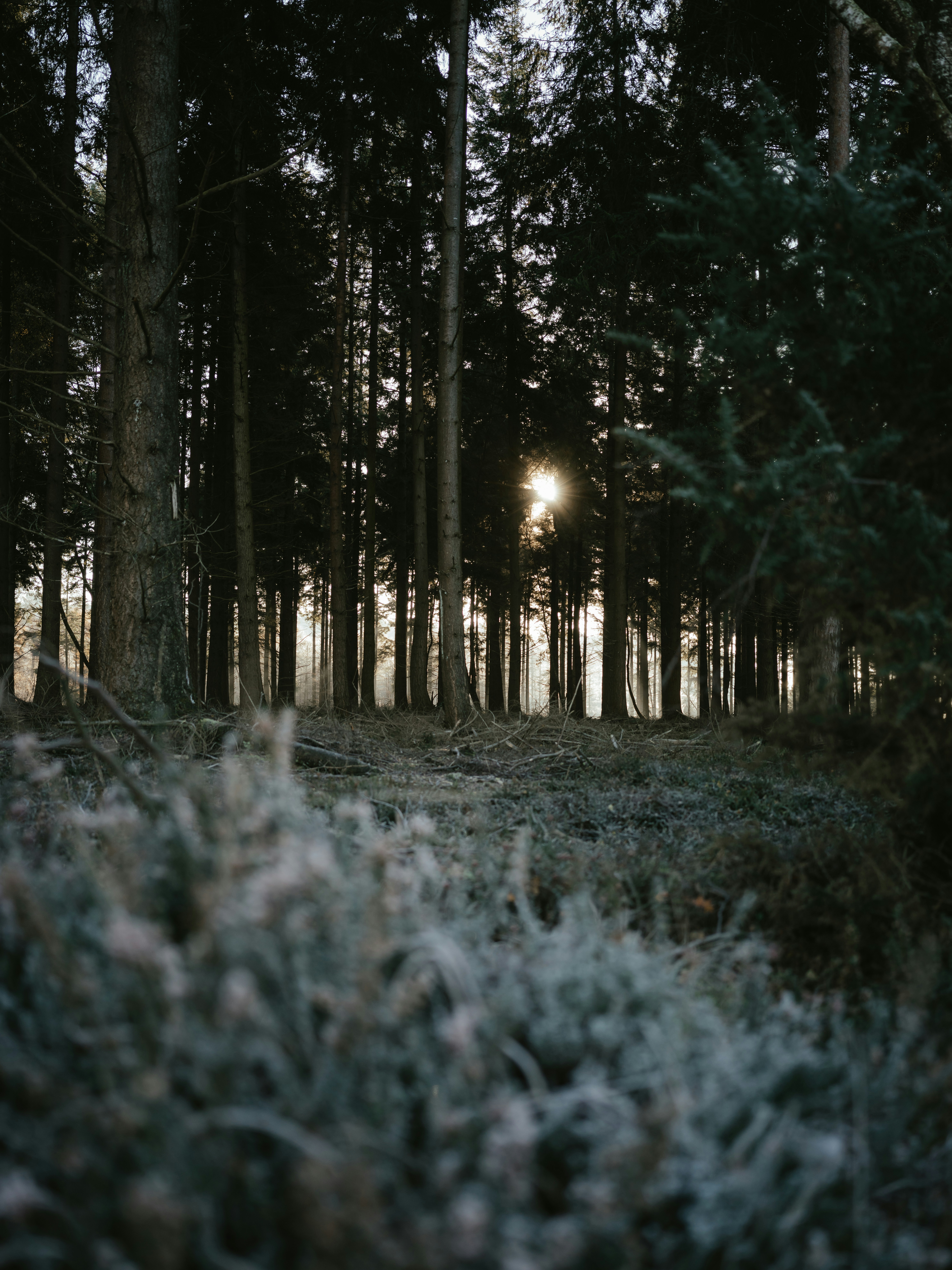 Photo by anniespratt