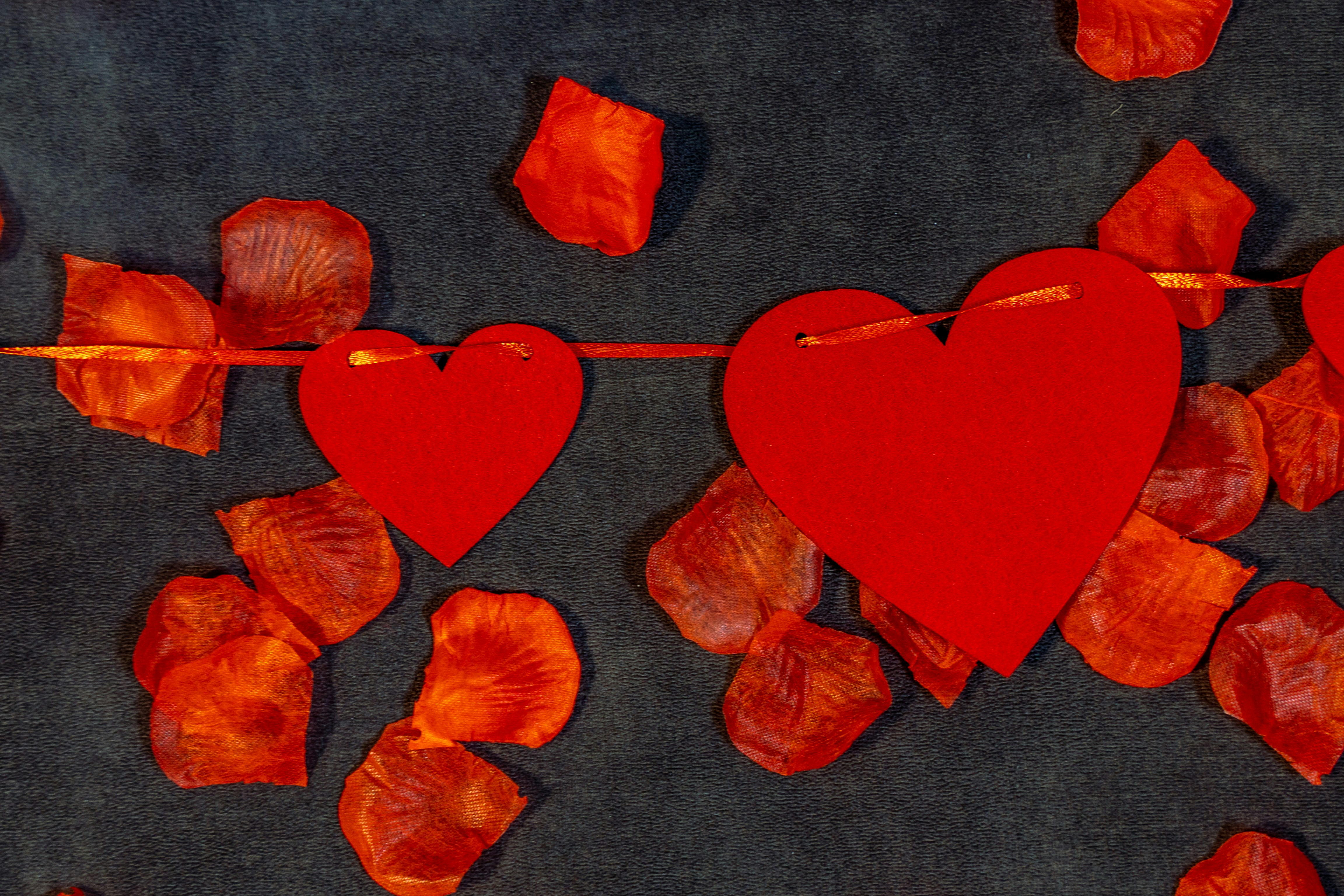 30 Best Porco Rosso Quotes to Inspire Heart & Soul