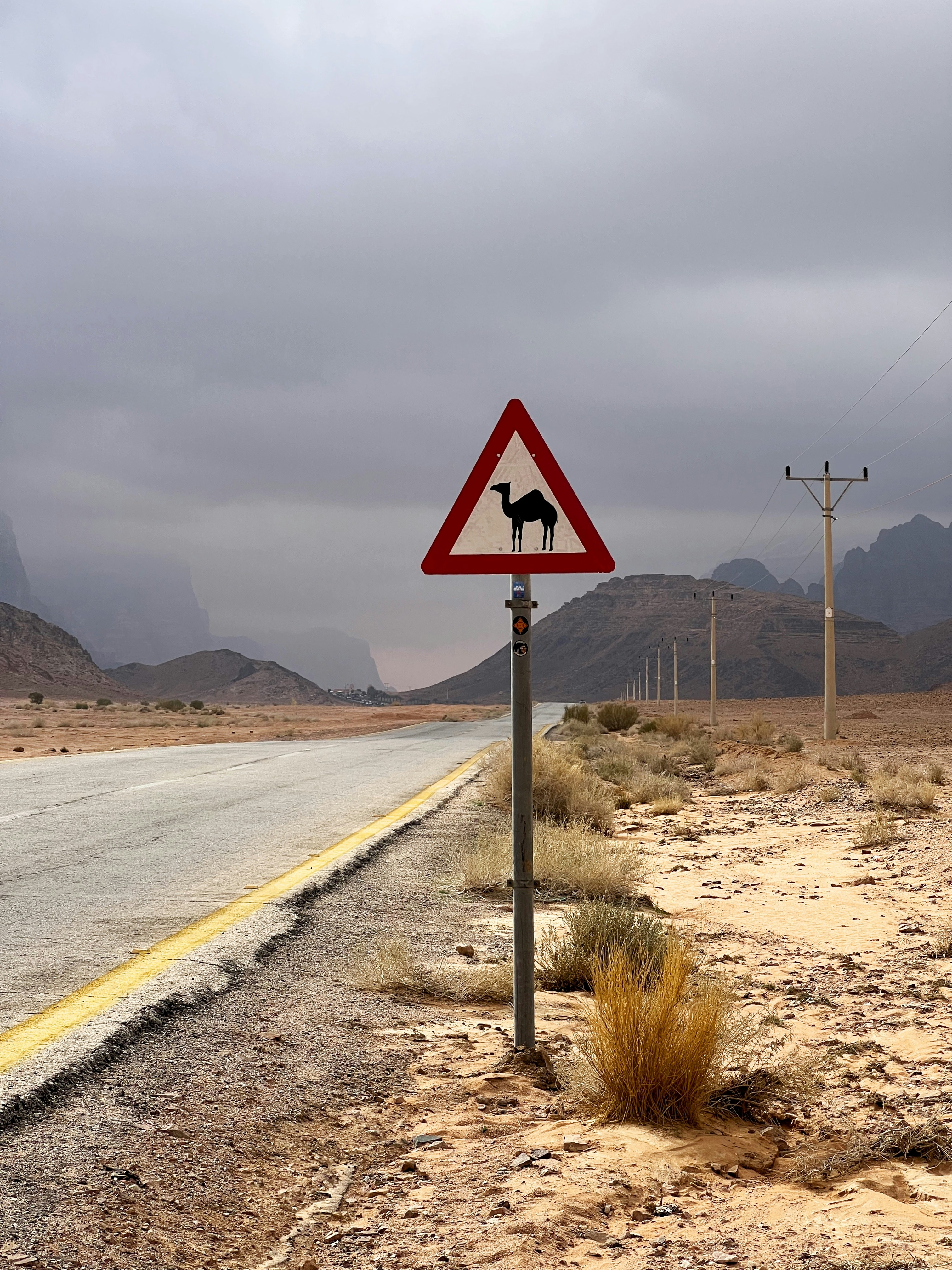 Photo by gregorionuti