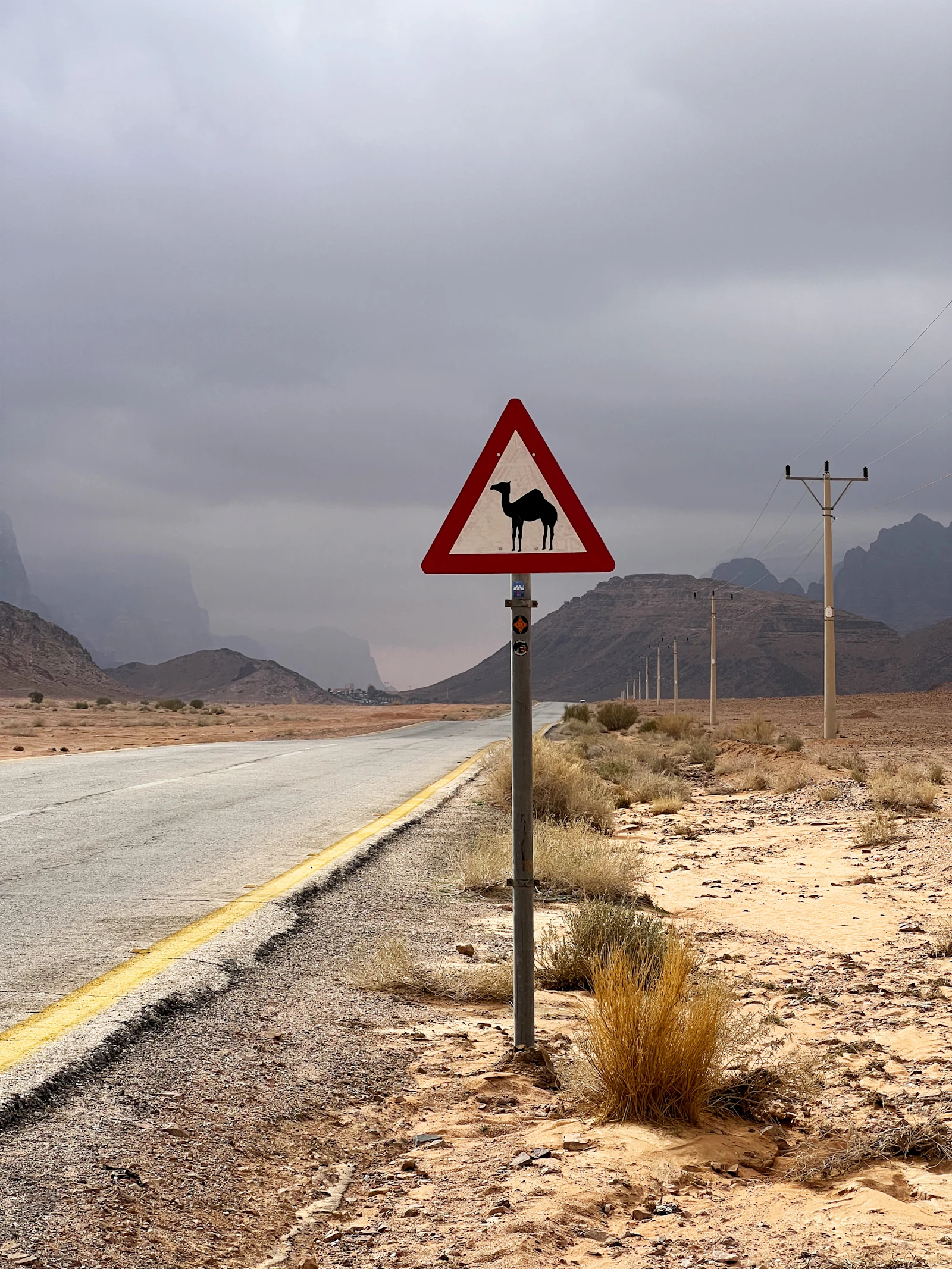 A camel-warning sign beside a road in Wadi Rum