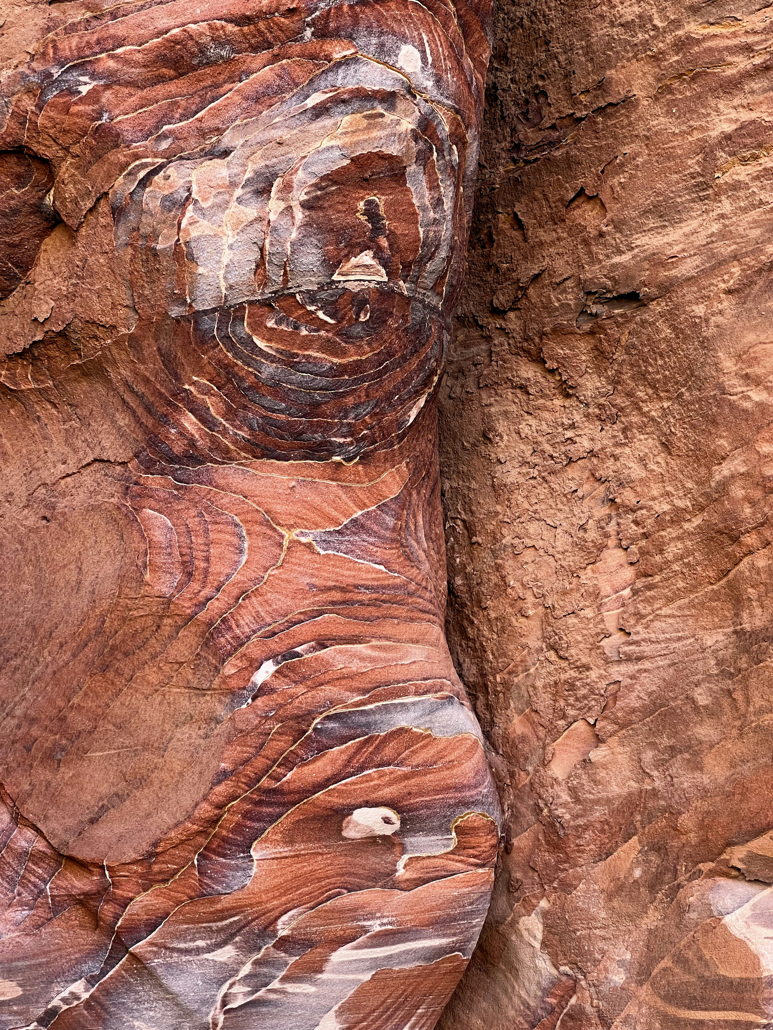 Photo by gregorionuti