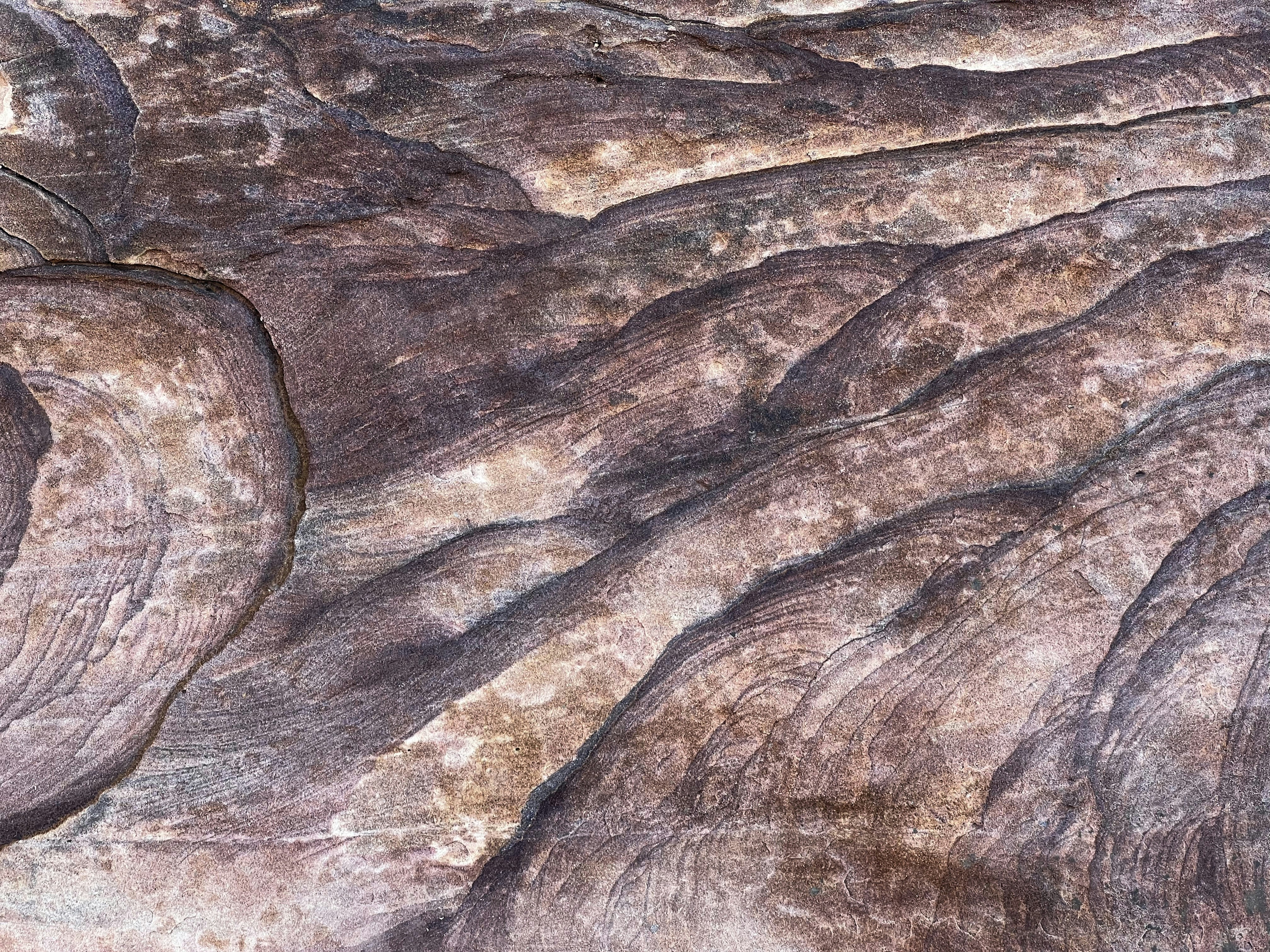 Photo by gregorionuti