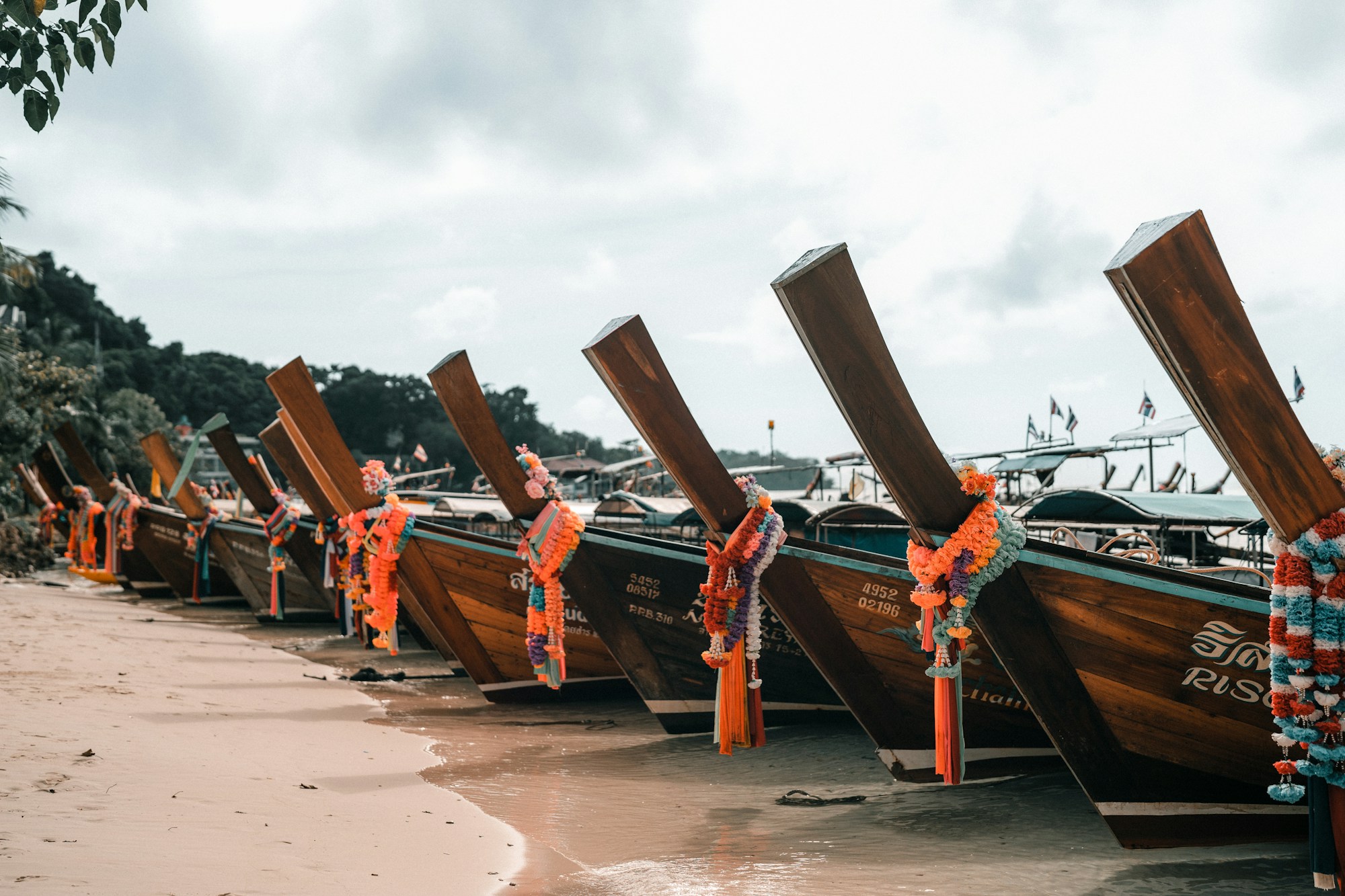 What to See in Koh Phi Phi: Travel Guide