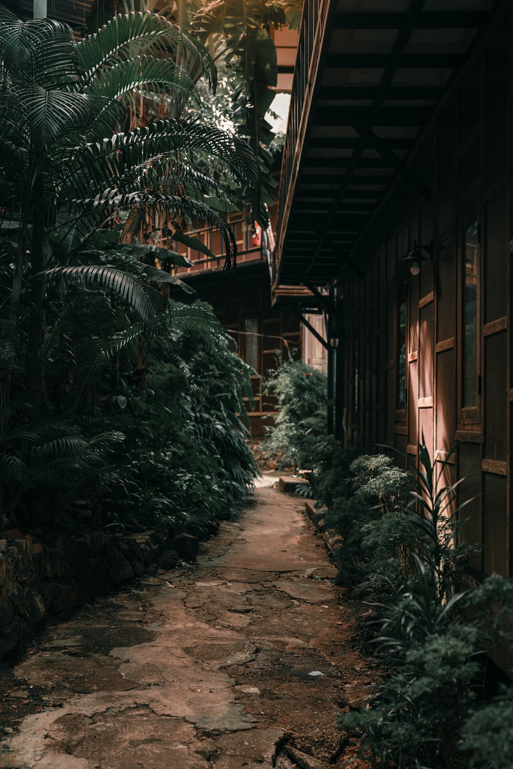 a stone path leading to a building surrounded by trees