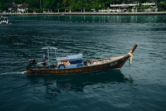 A traditional Maldivian boat gliding across the sparkling ocean near a lush island.