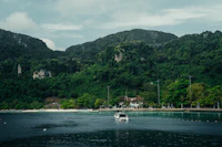 Best Nightlife in Phi Phi Islands: A Practical Guide to Going Out