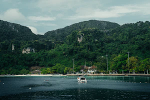 Phi Phi Islands