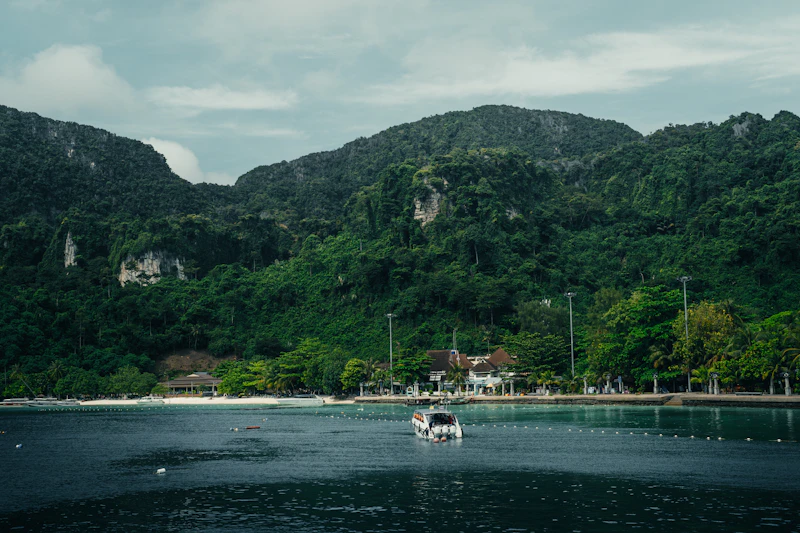 Best Nightlife in Phi Phi Islands: A Practical Guide to Going Out