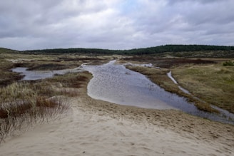 A serene landscape that reminds me of my childhood adventures.
