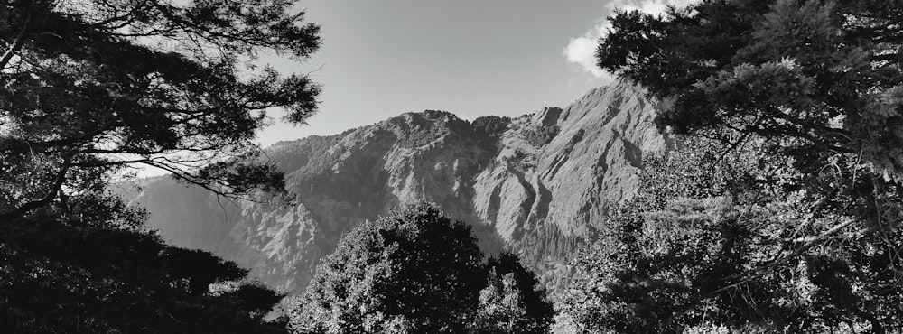 a black and white photo of a mountain