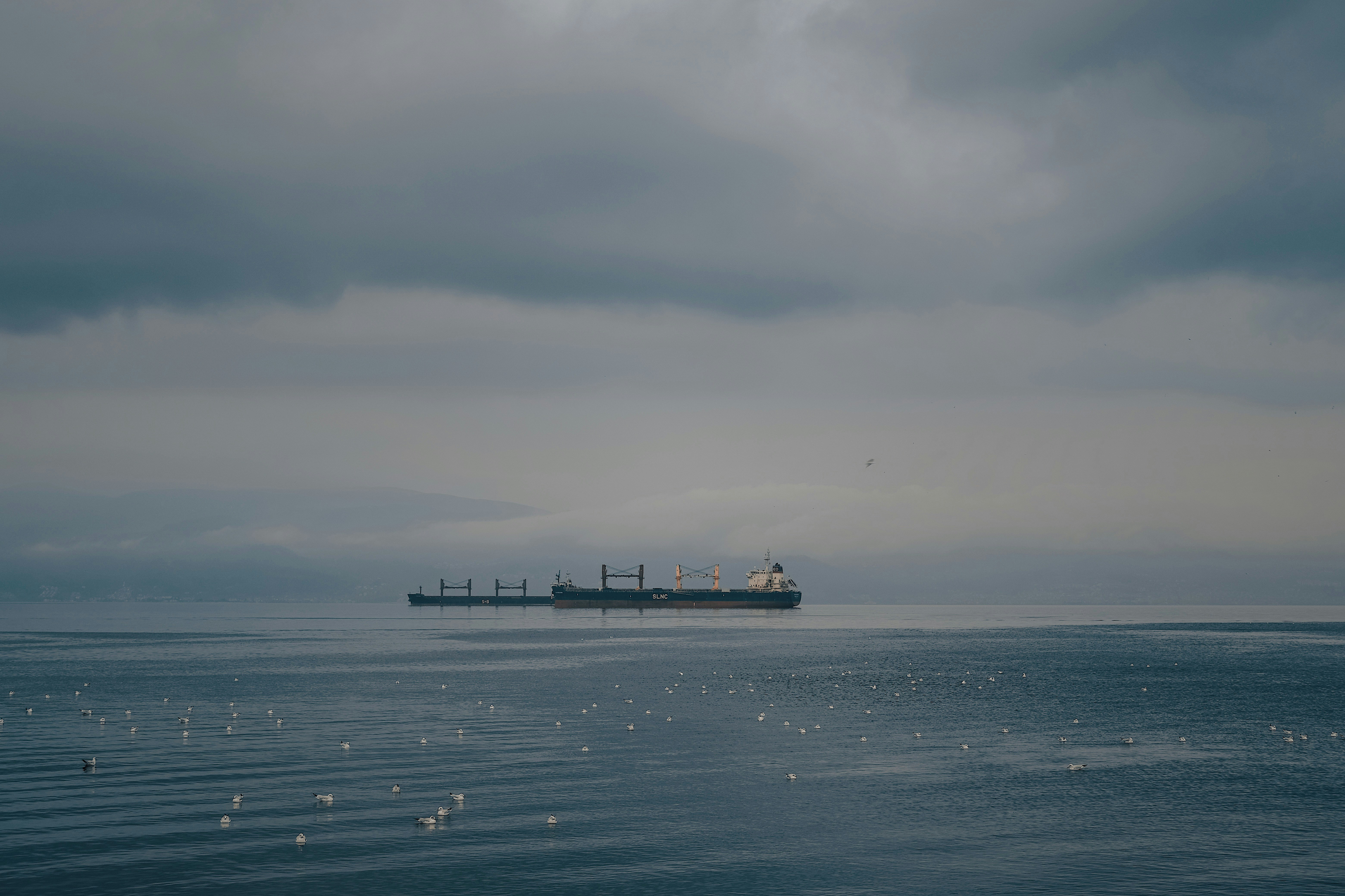 Photo by sserhattug