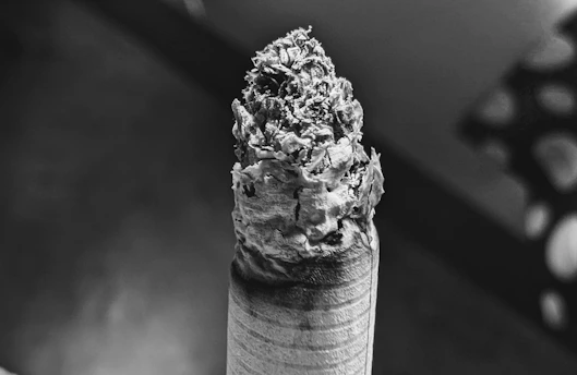 Close-up of a hand-rolled Ahav Humble/Meek cigar resting on a rustic wooden table with soft natural light highlighting its rich texture.