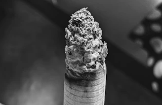 Close-up of a hybrid blunt cigar with a glossy, dark wrapper and visible texture.