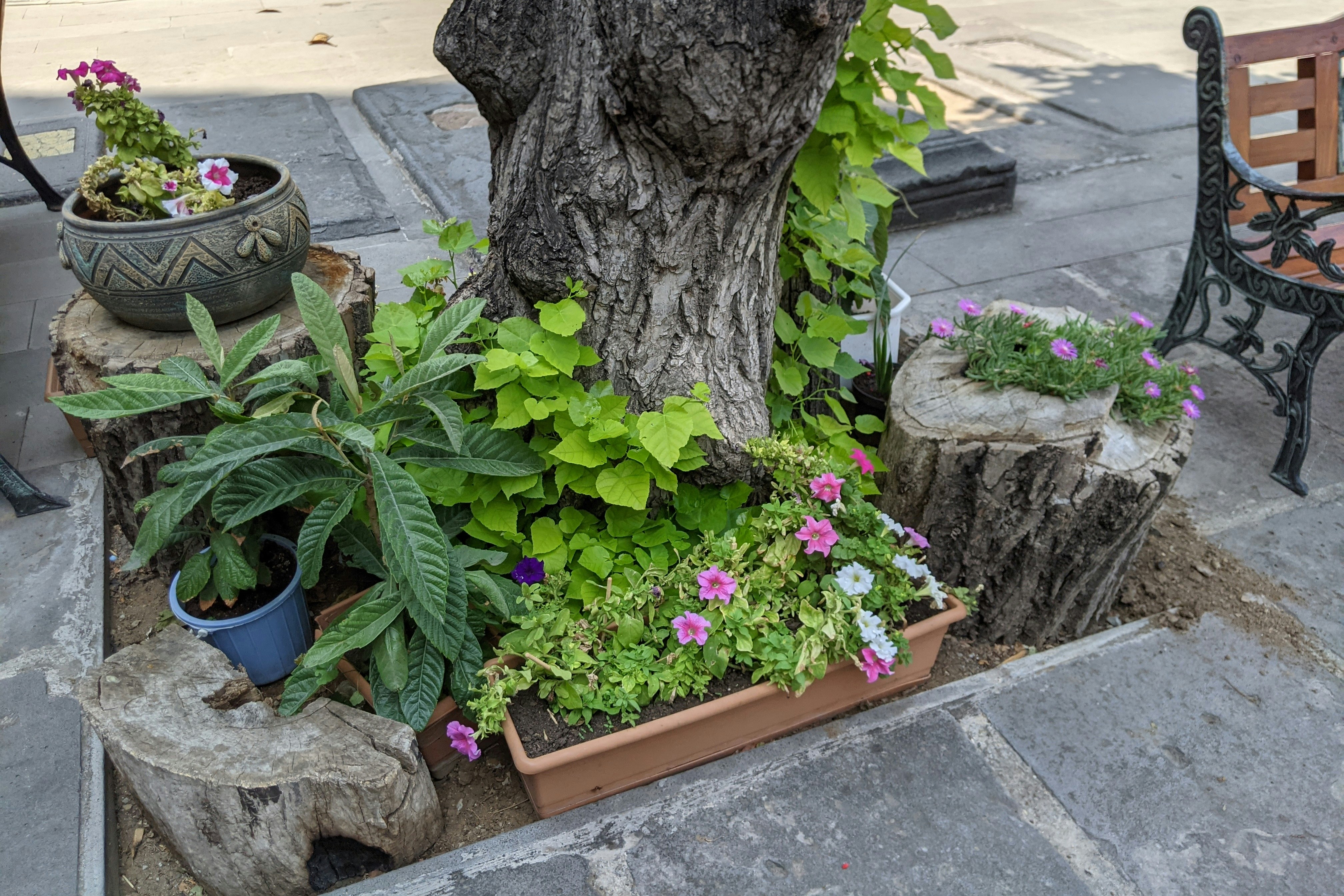 decor image