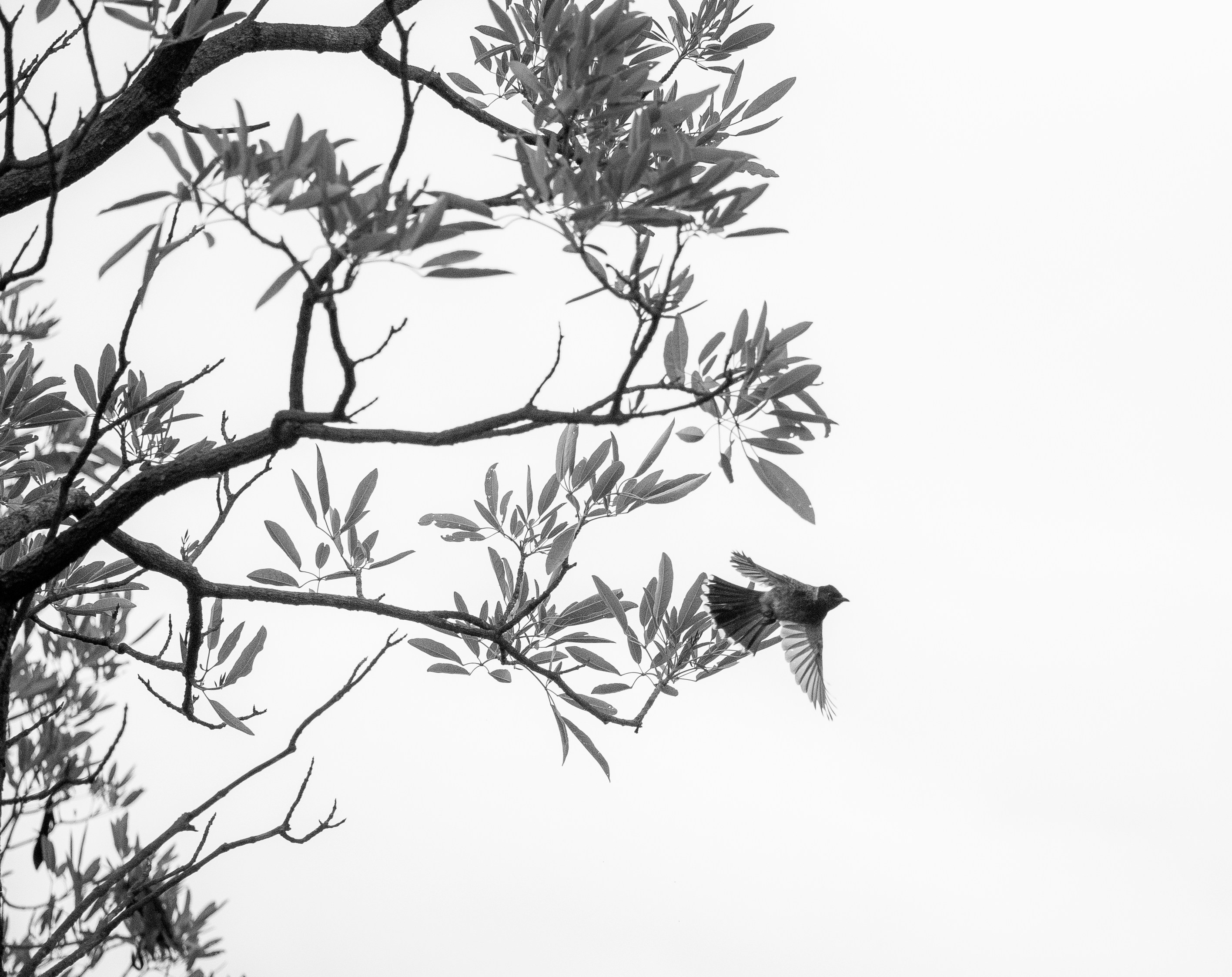 Photo by sagarkulkarni