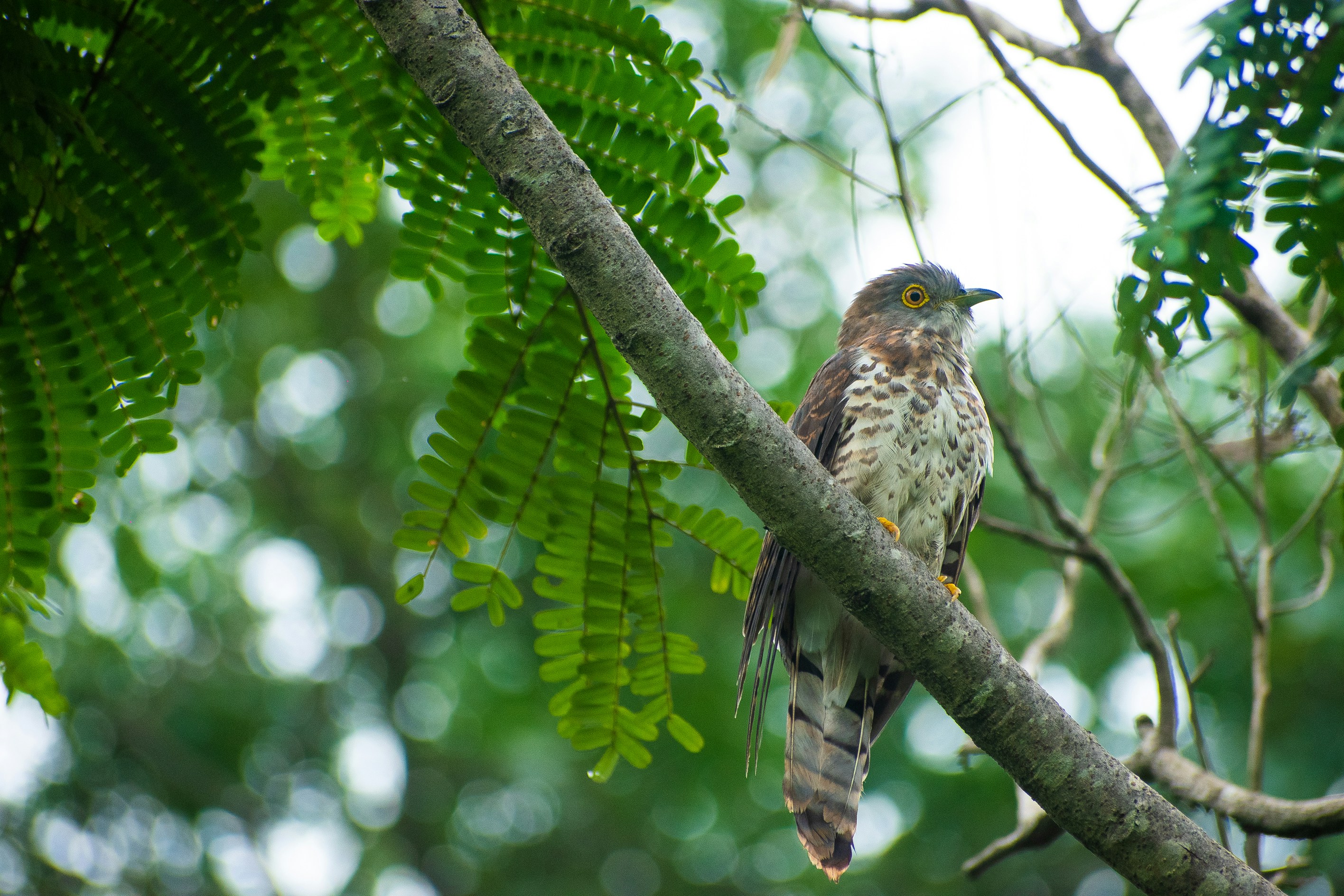 Photo by sagarkulkarni