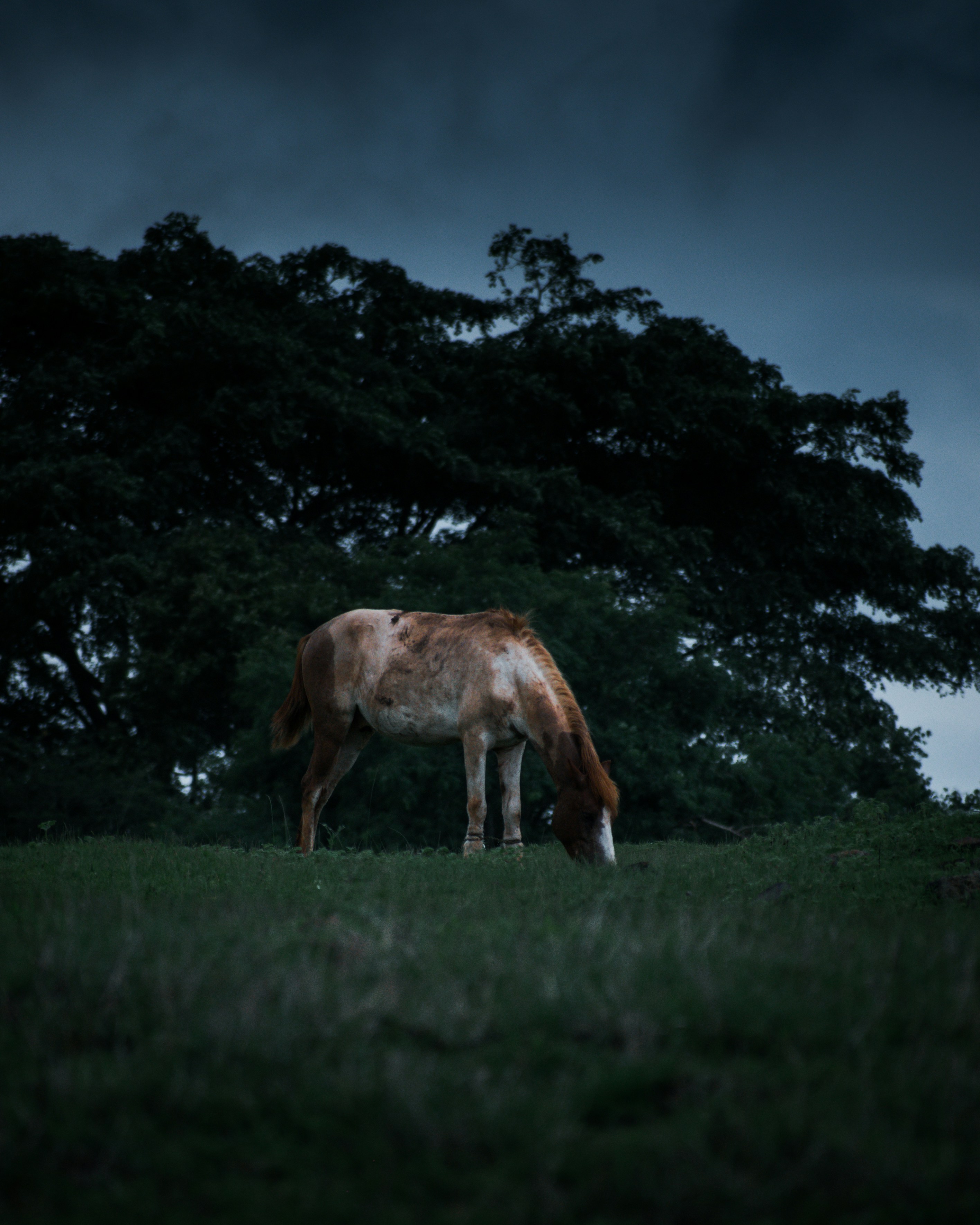 Photo by sagarkulkarni