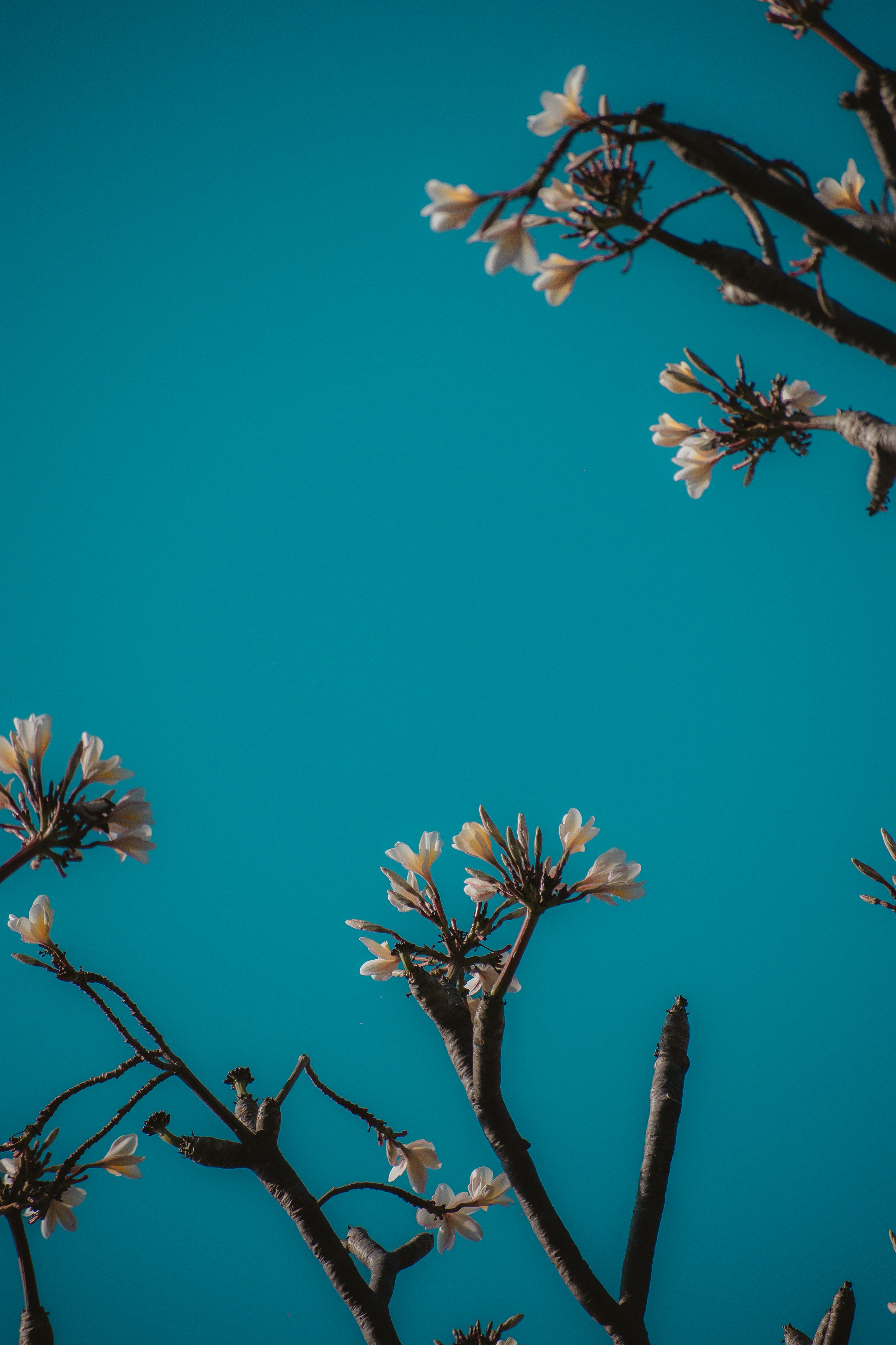 Photo by sagarkulkarni