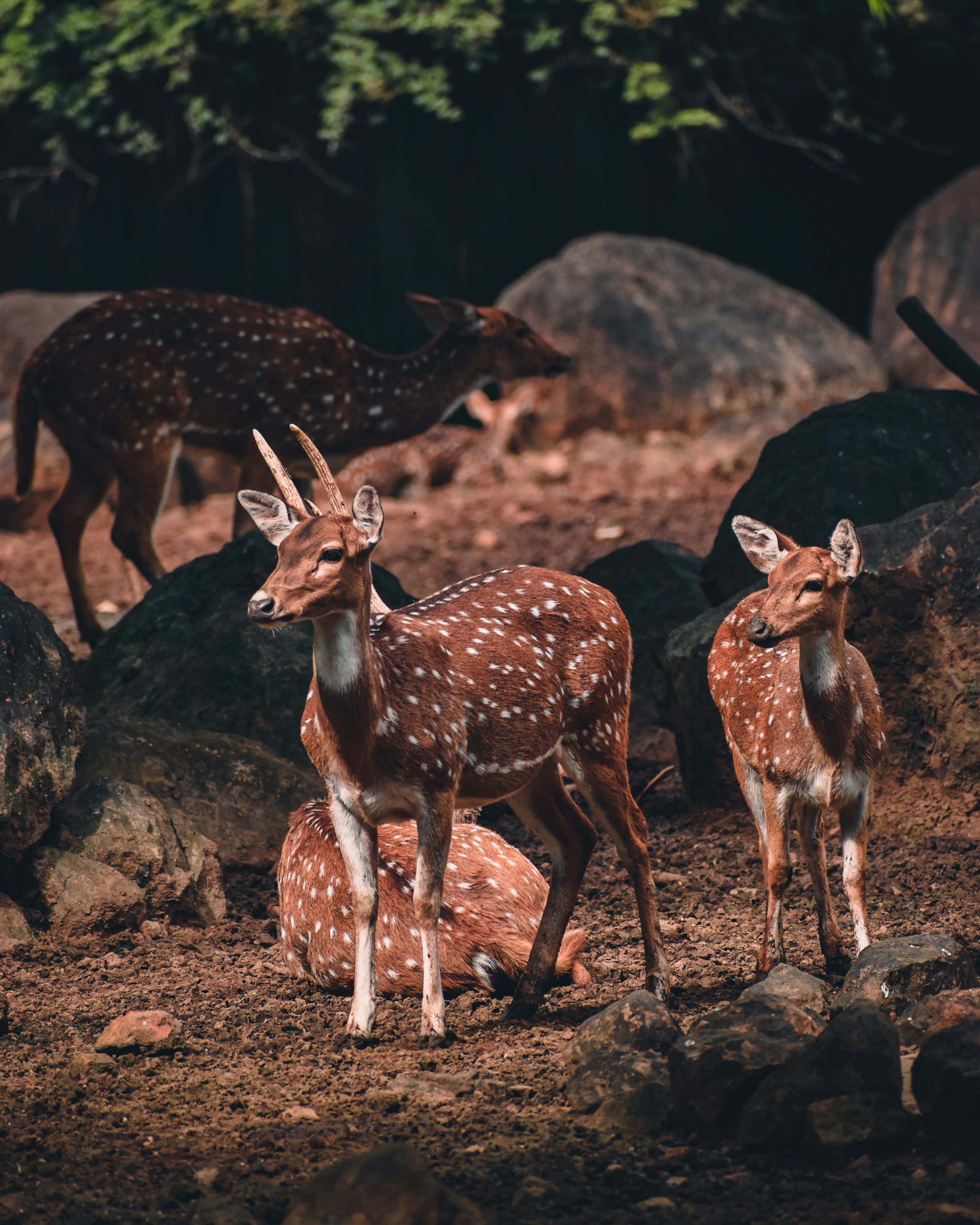 Photo by sagarkulkarni