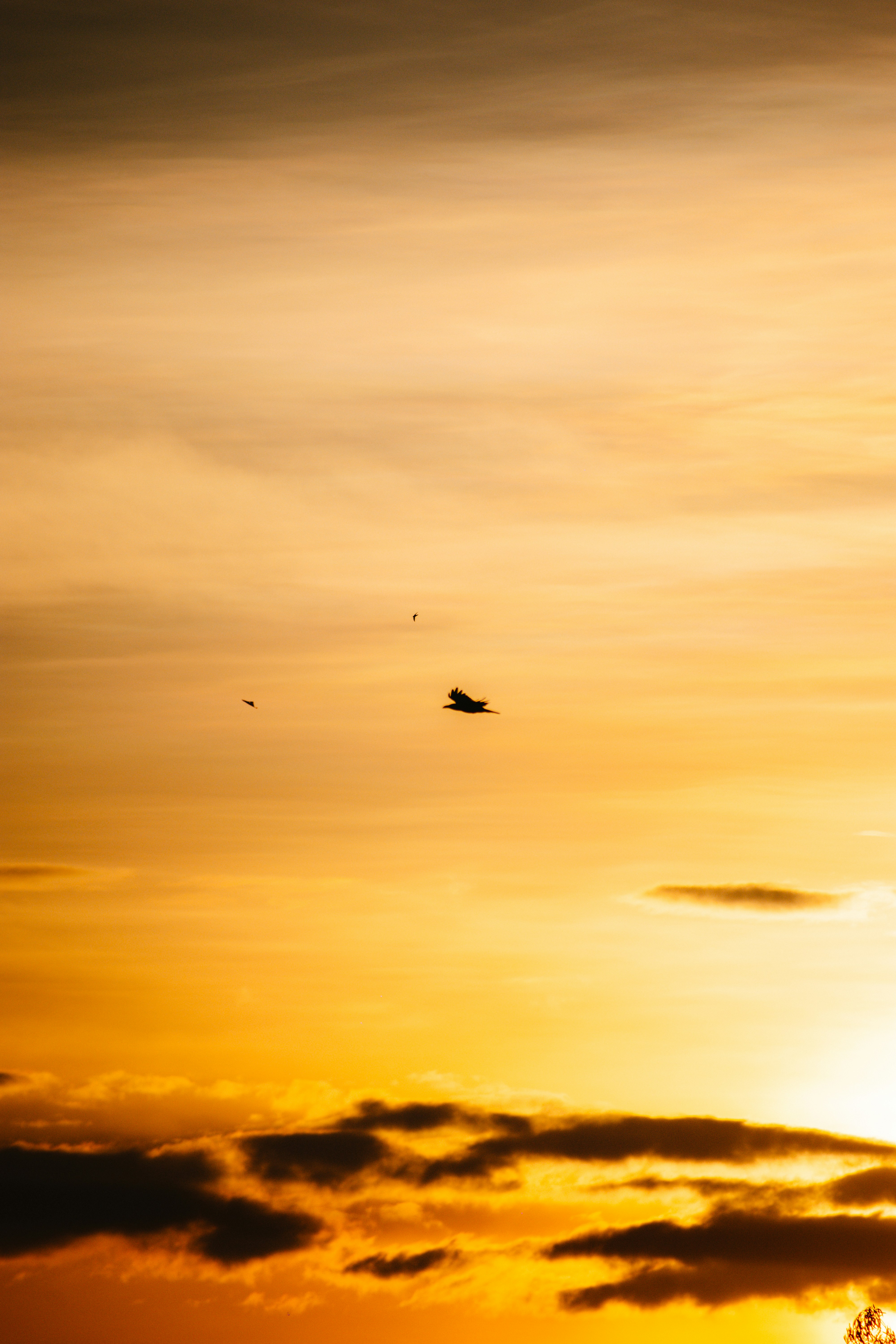 Photo by sagarkulkarni