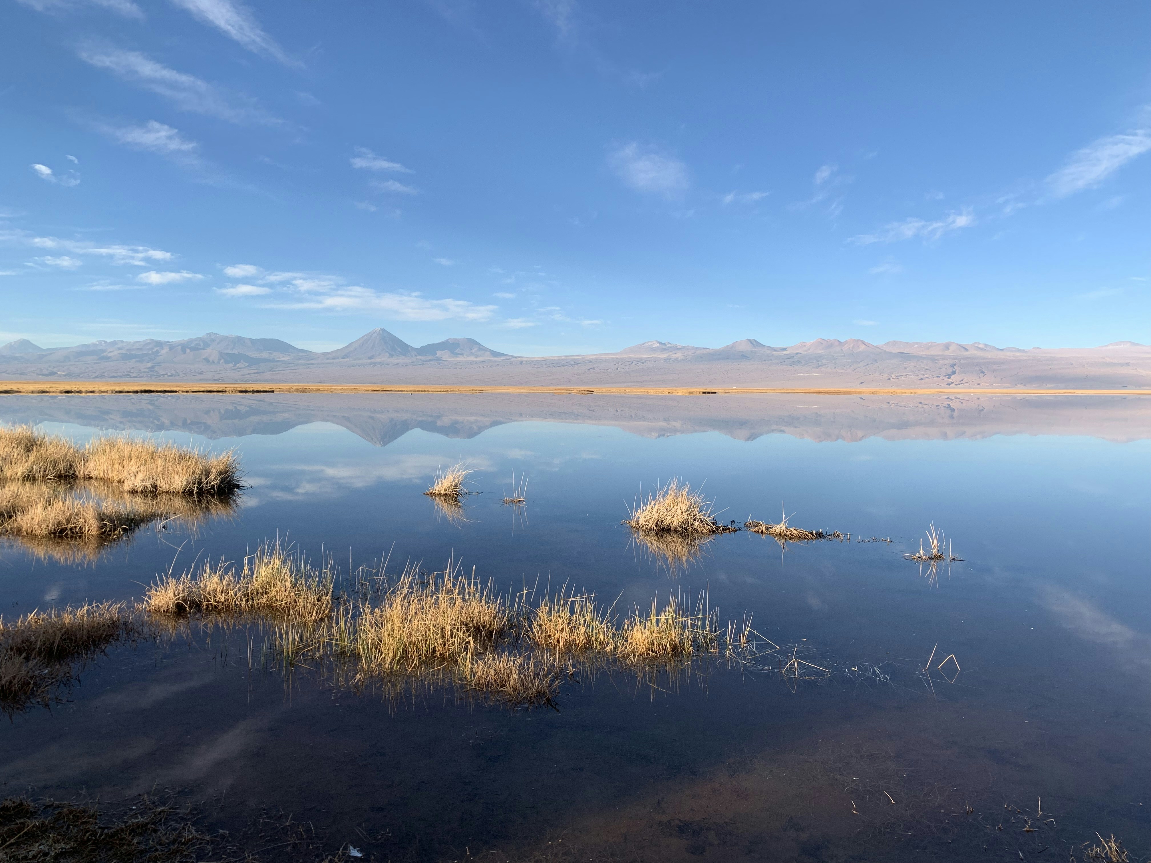 Photo by leandro_ramos