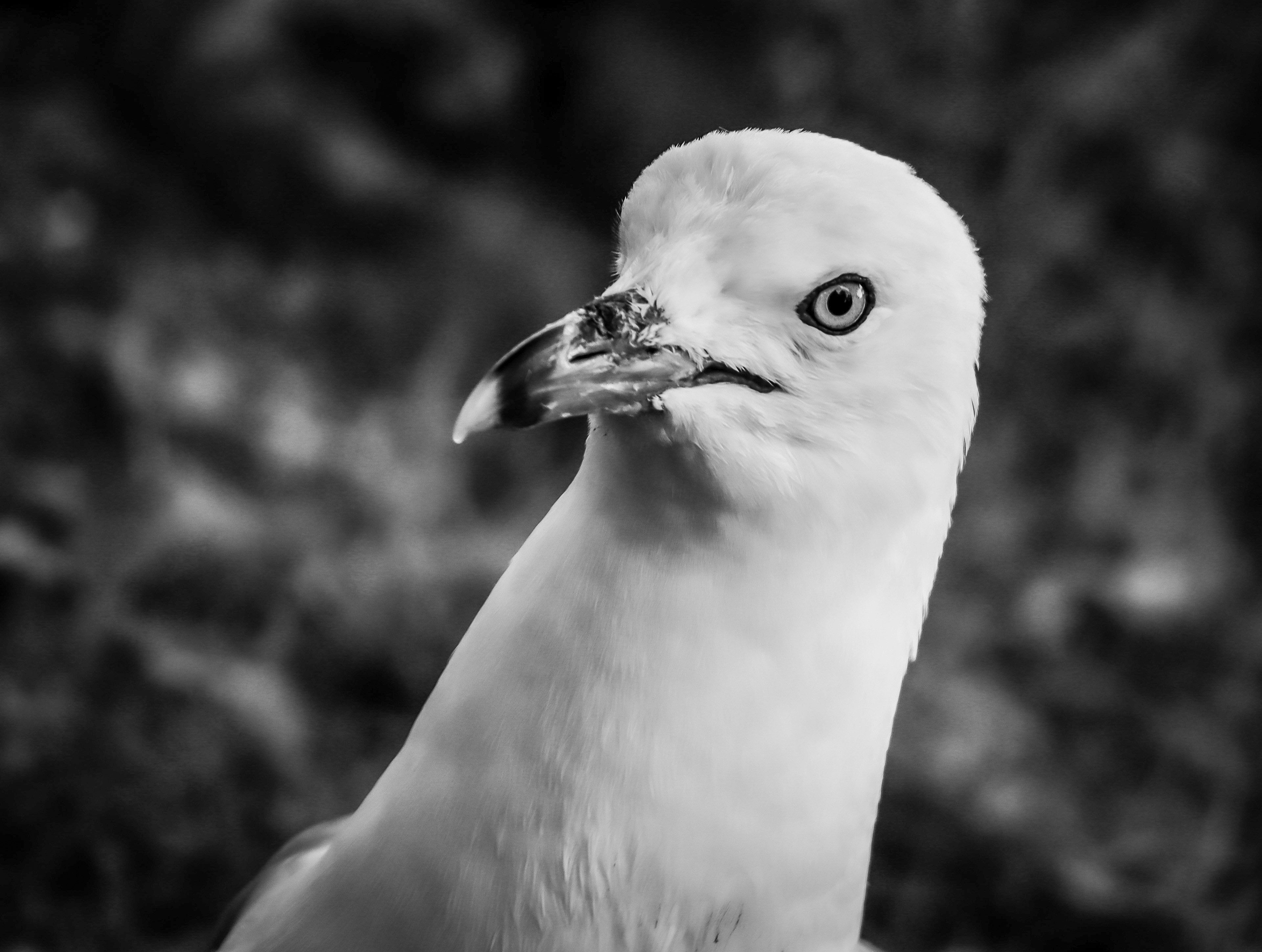 Photo by afavphotography