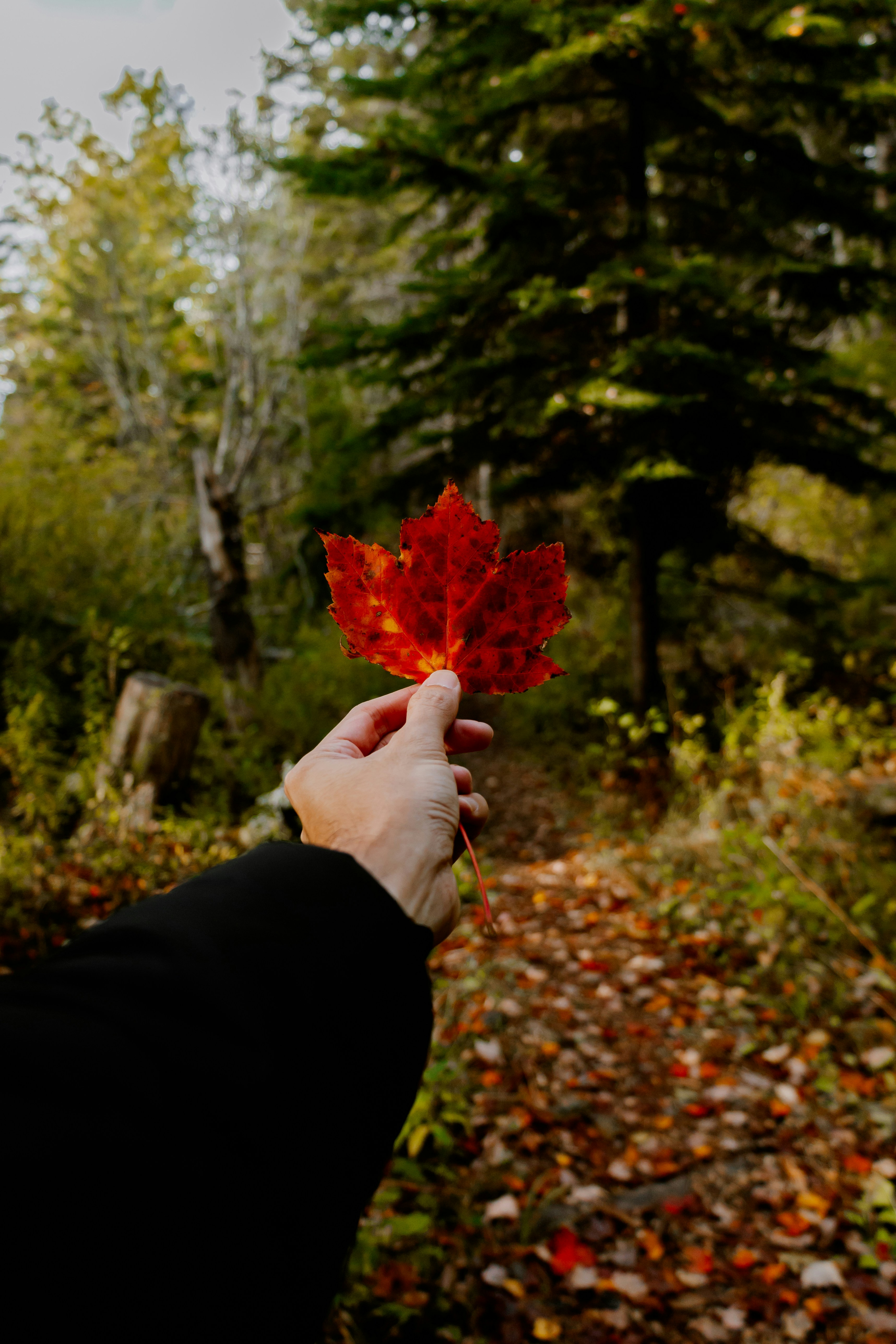 Photo by janwalterluigi