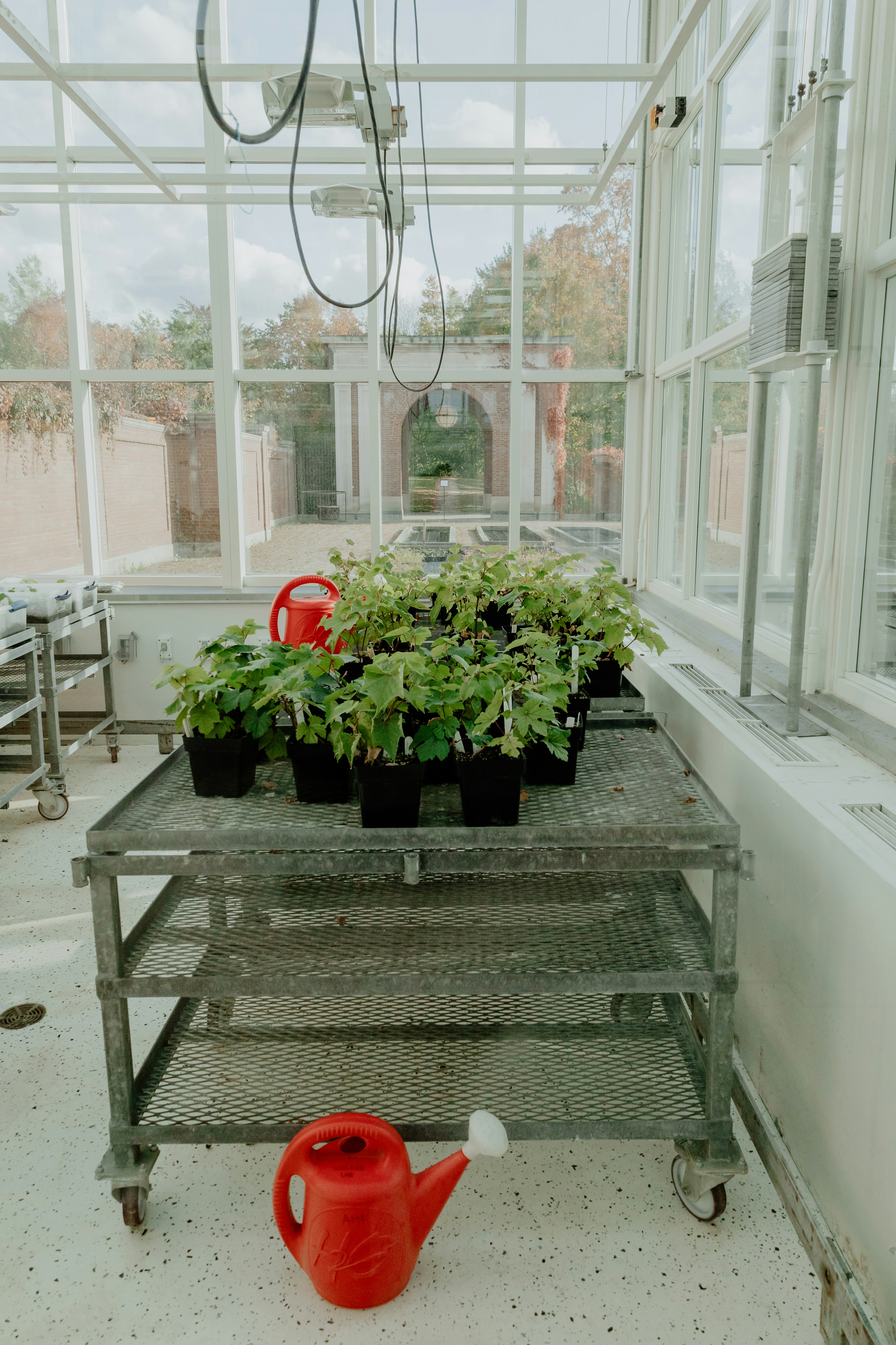 Photo by janwalterluigi