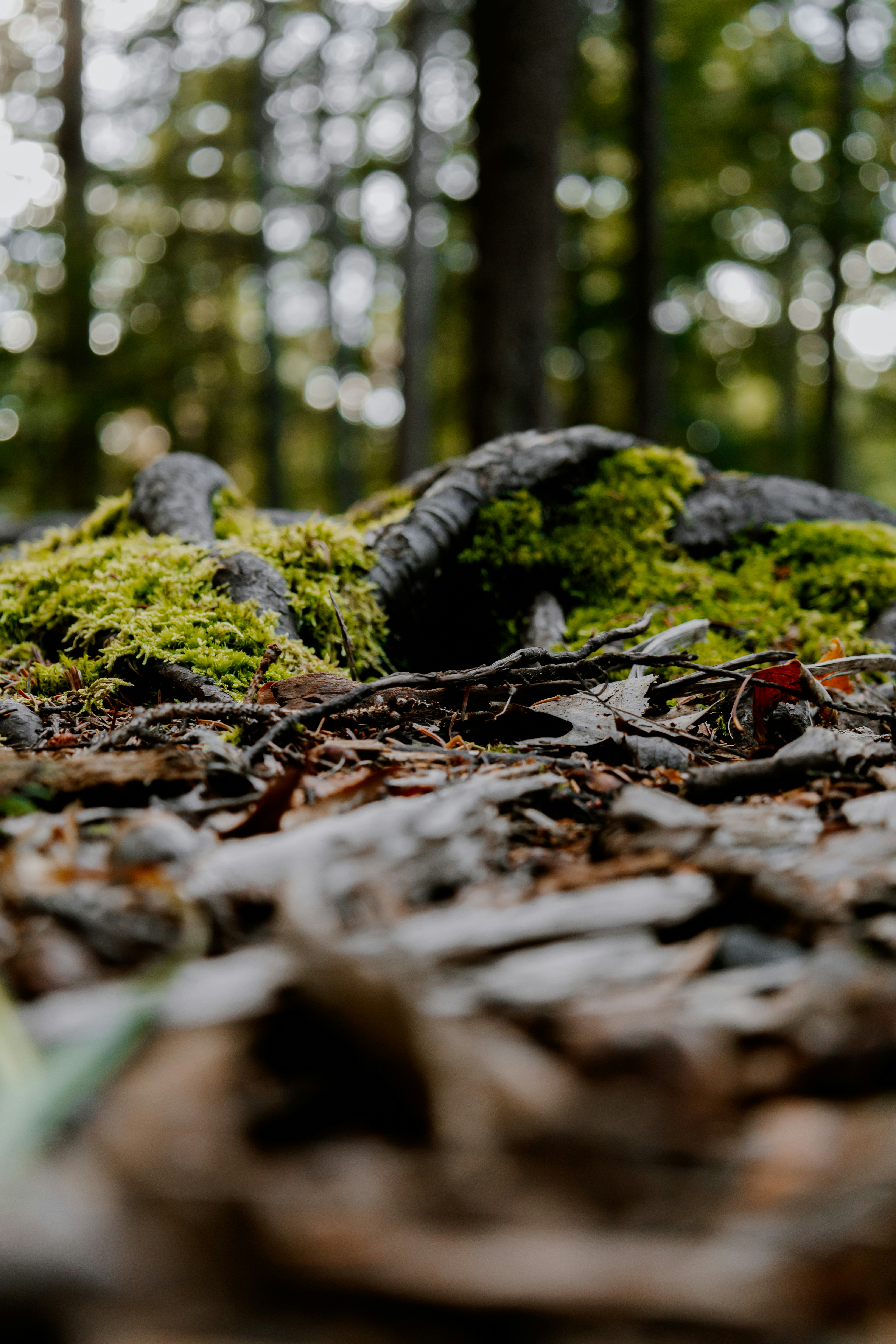 Photo by janwalterluigi