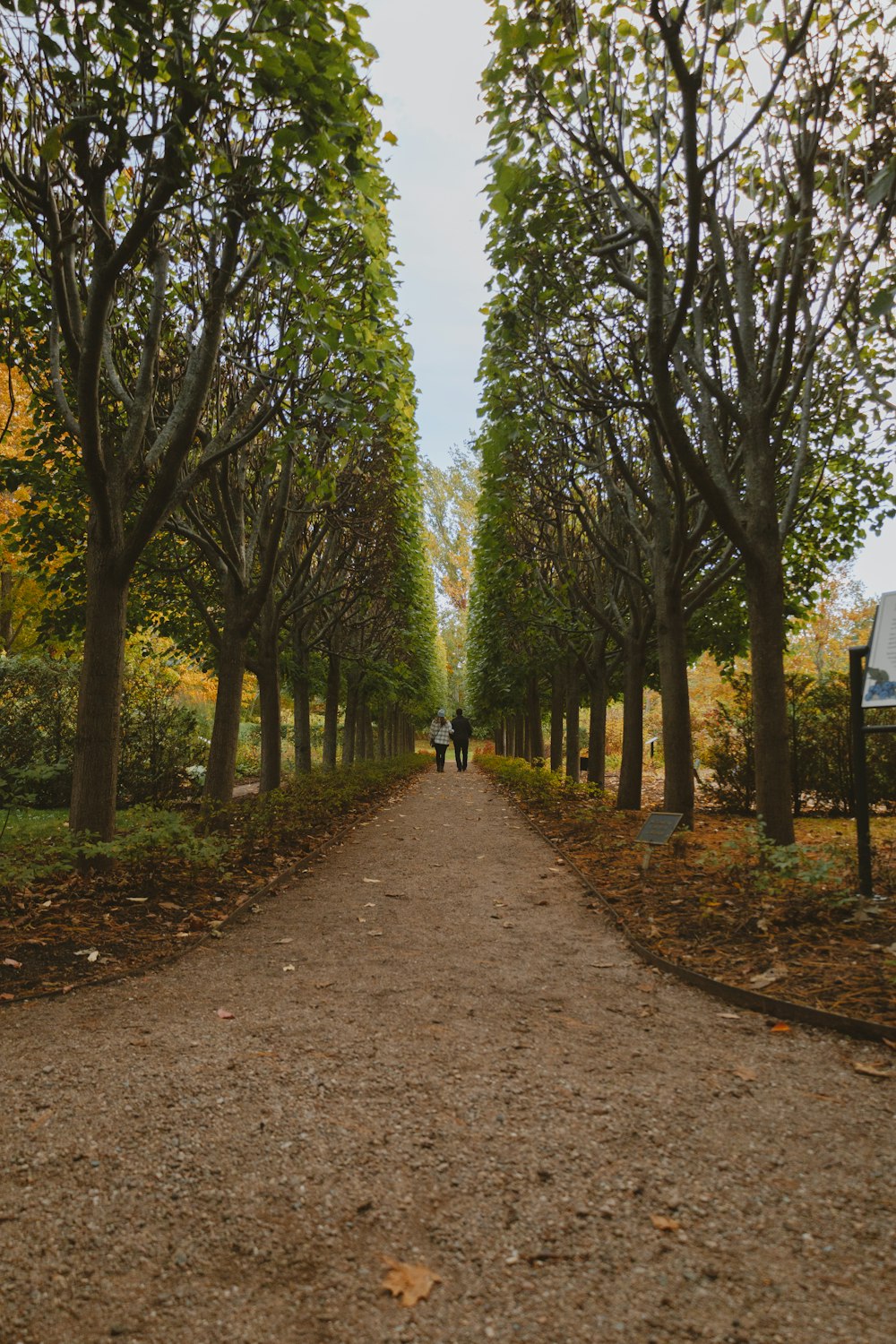 a couple of people walking down a dirt road