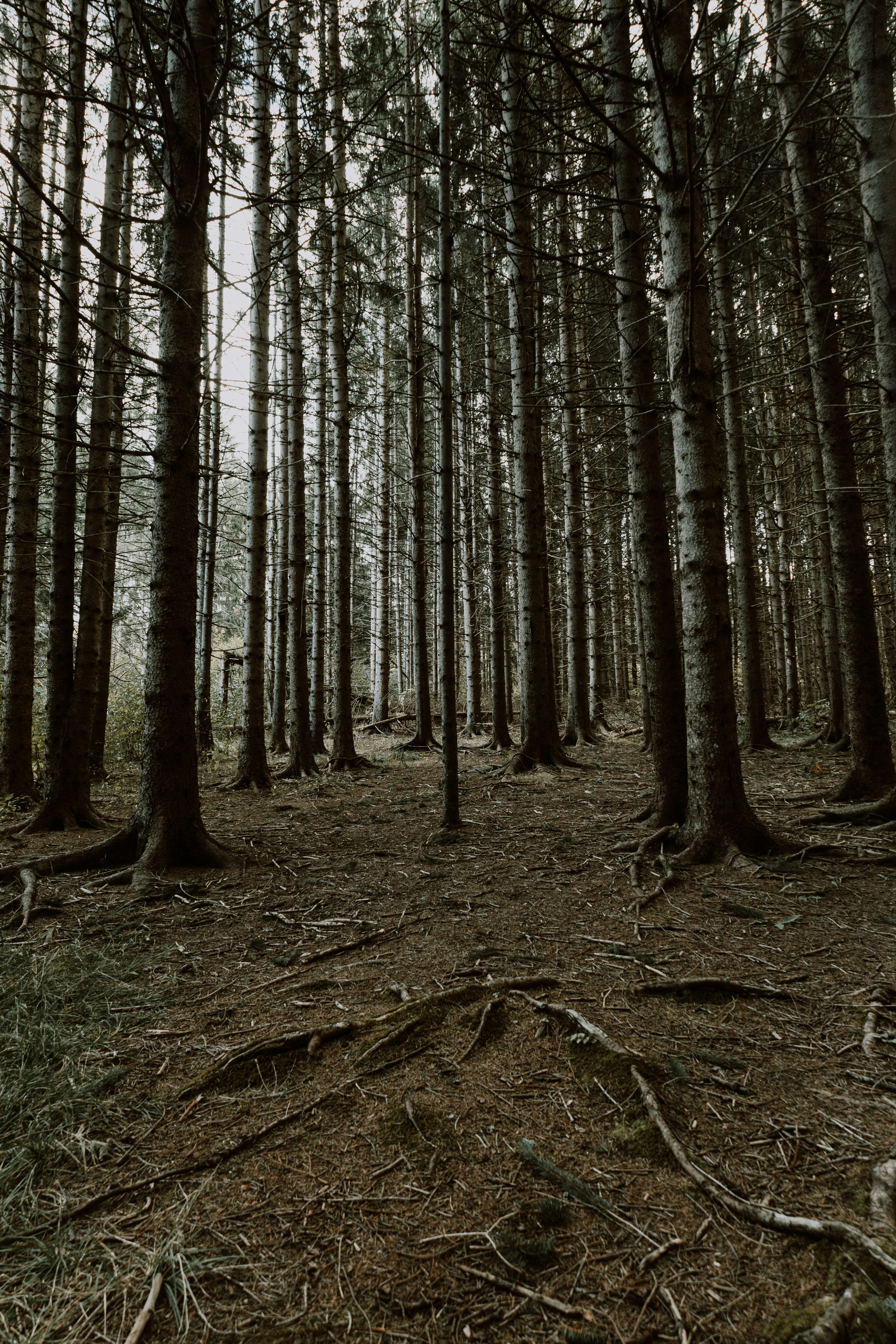 Photo by janwalterluigi