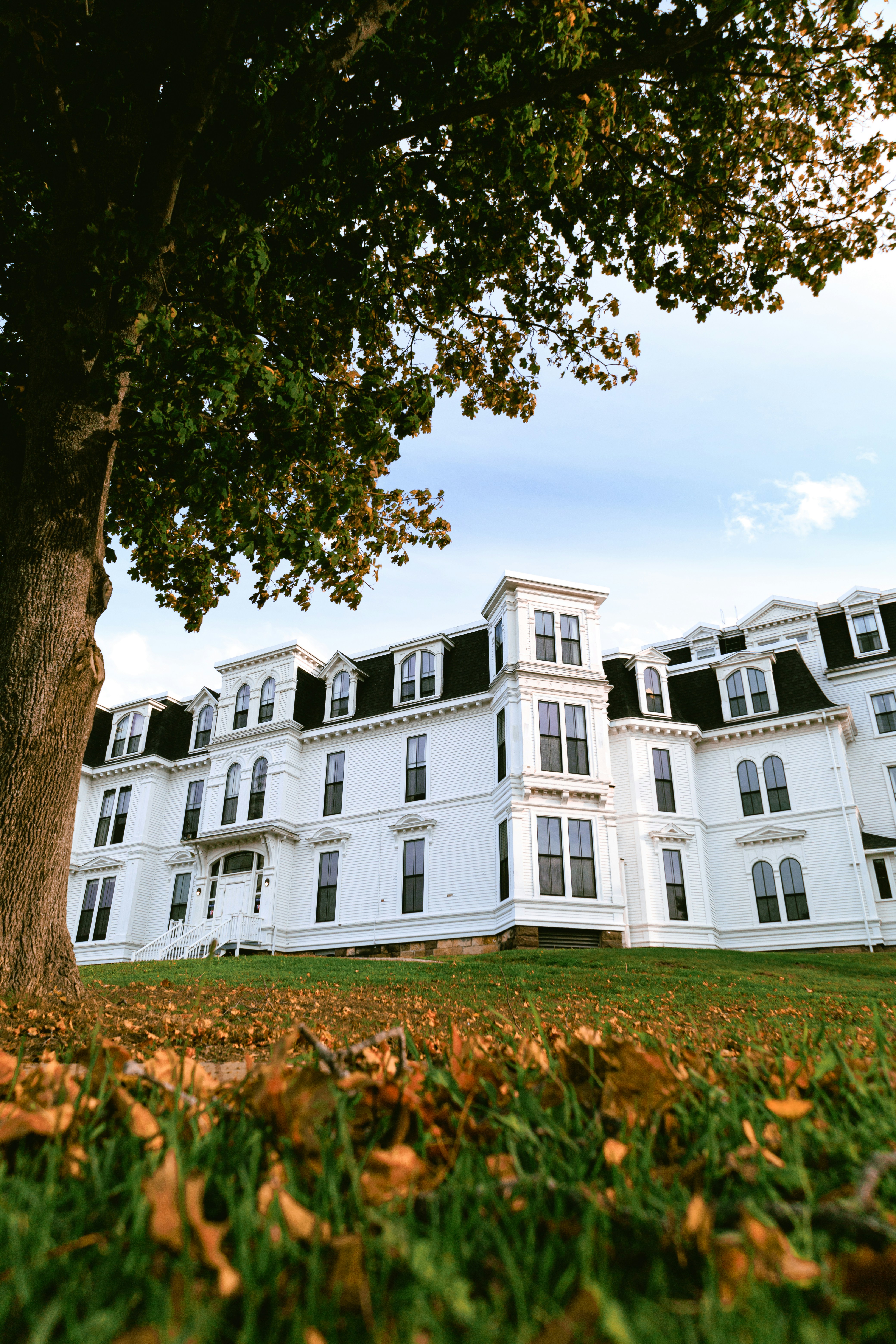 Photo by janwalterluigi