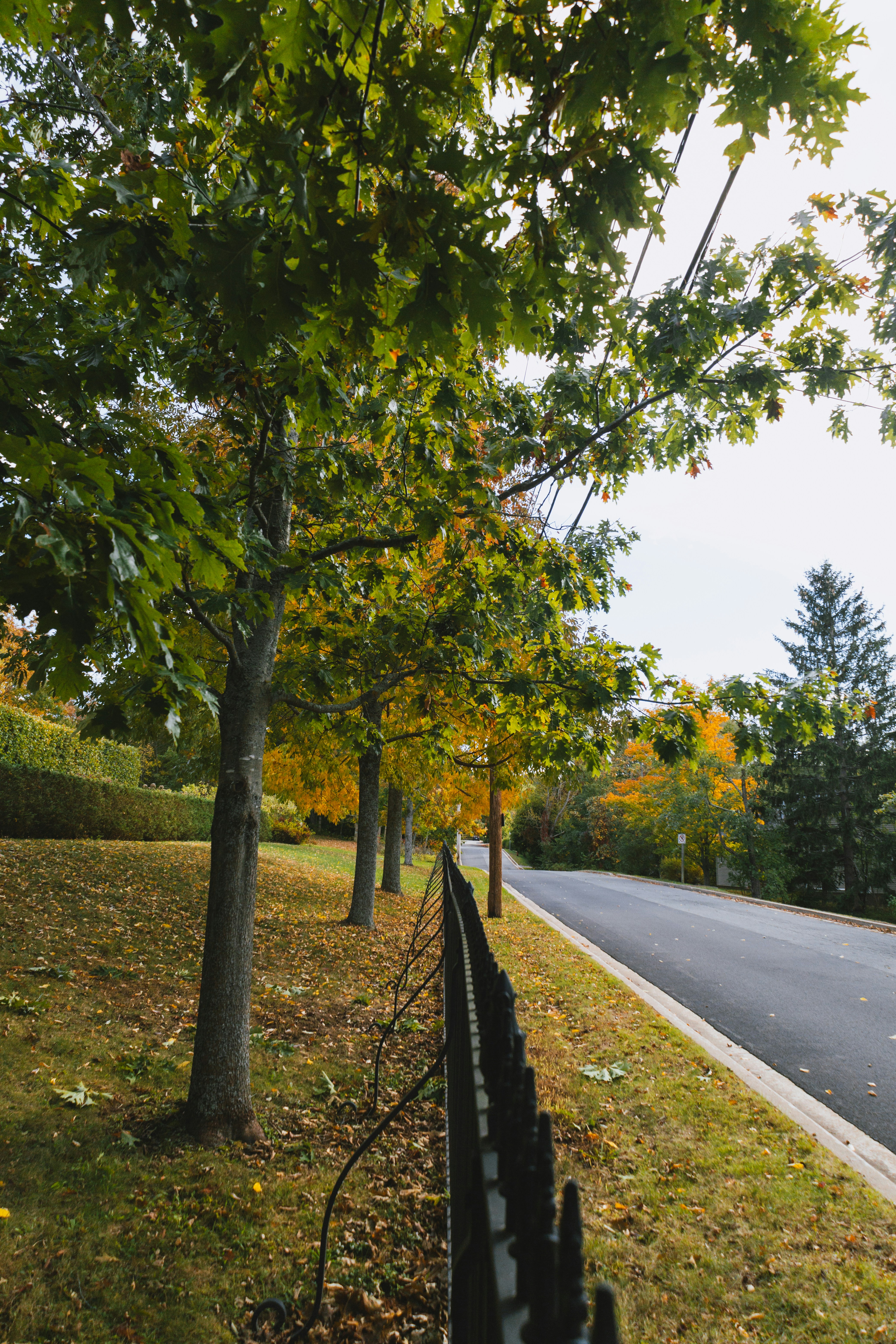 Photo by janwalterluigi