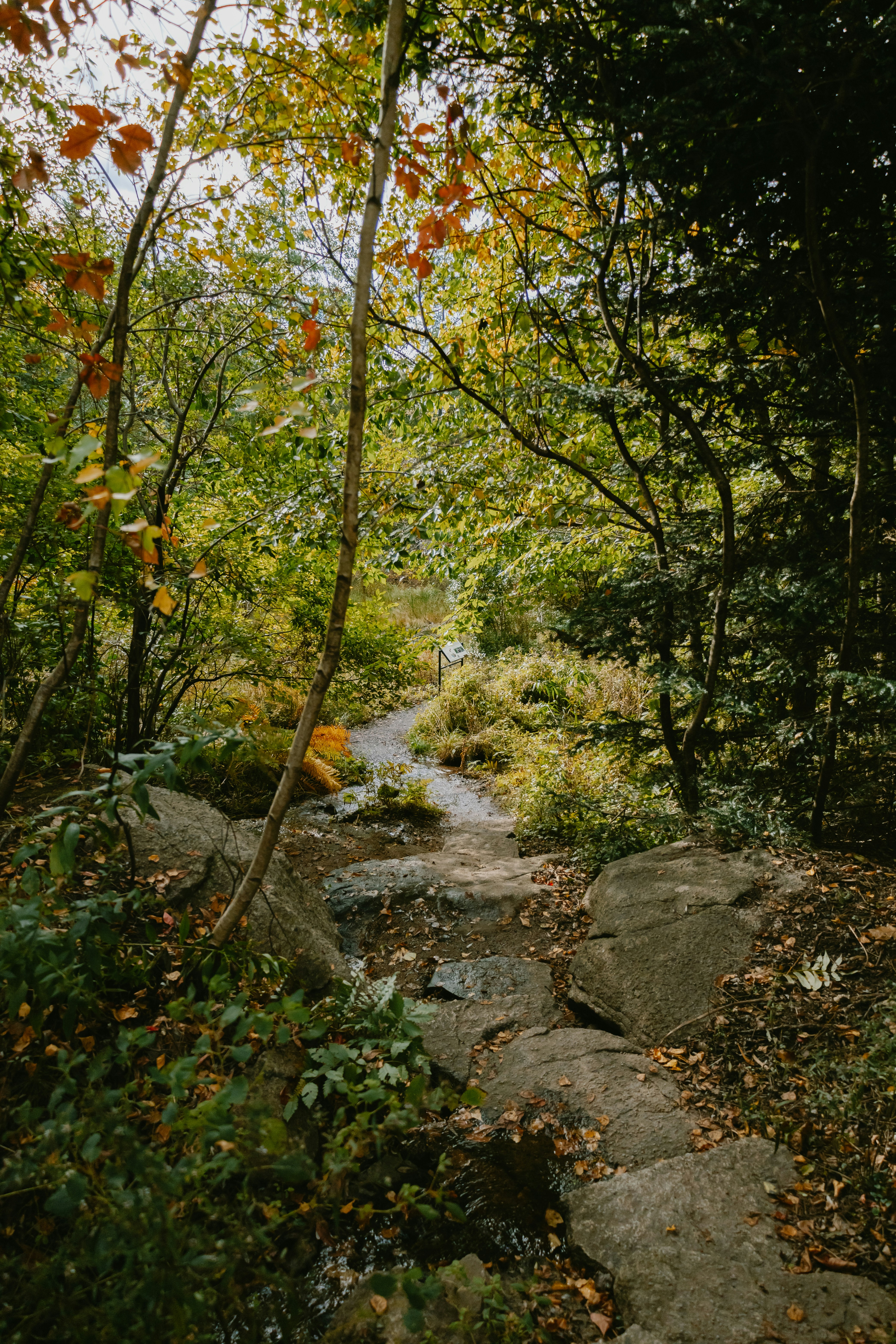 Photo by janwalterluigi