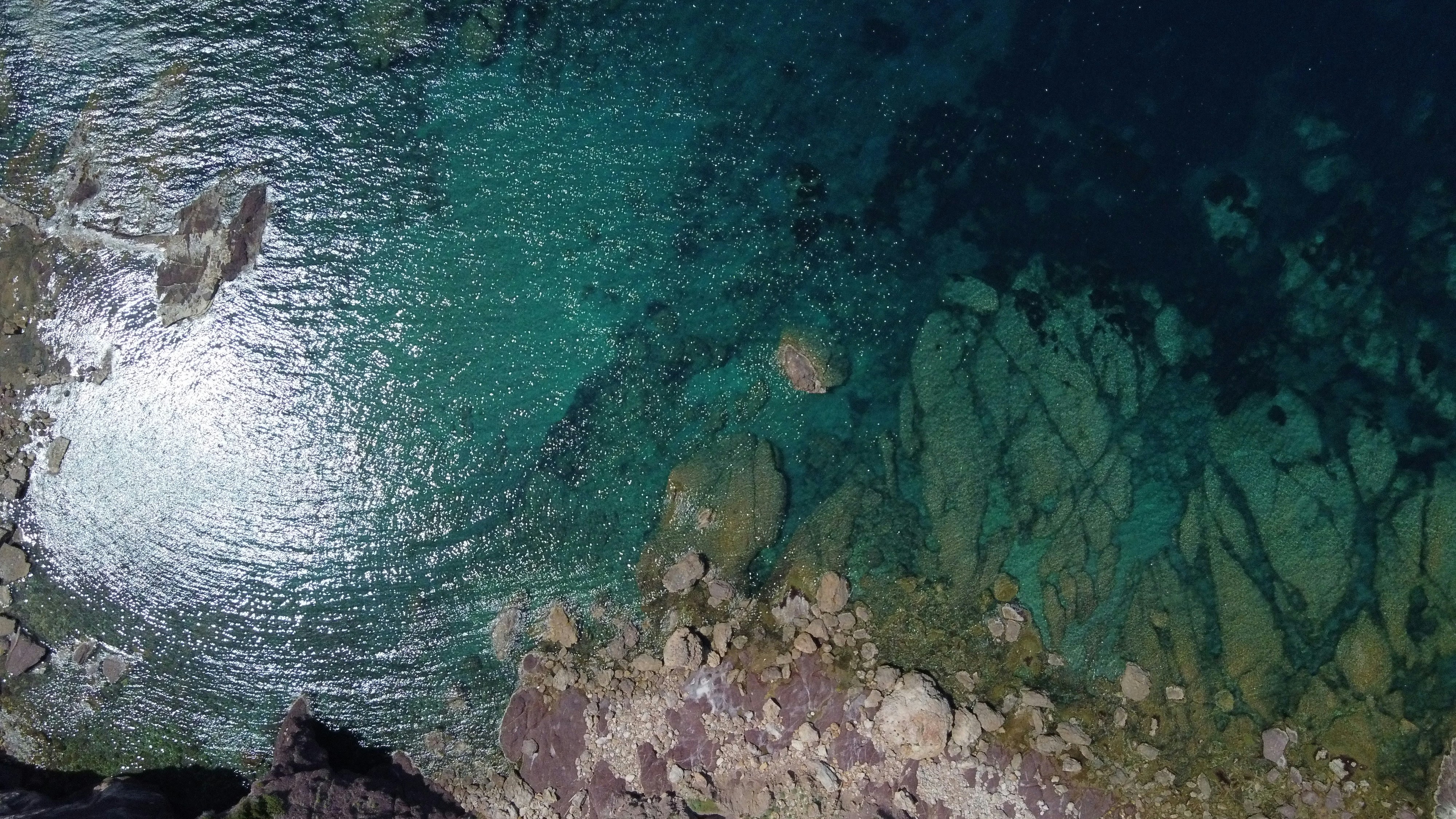 Photo by blackflanella