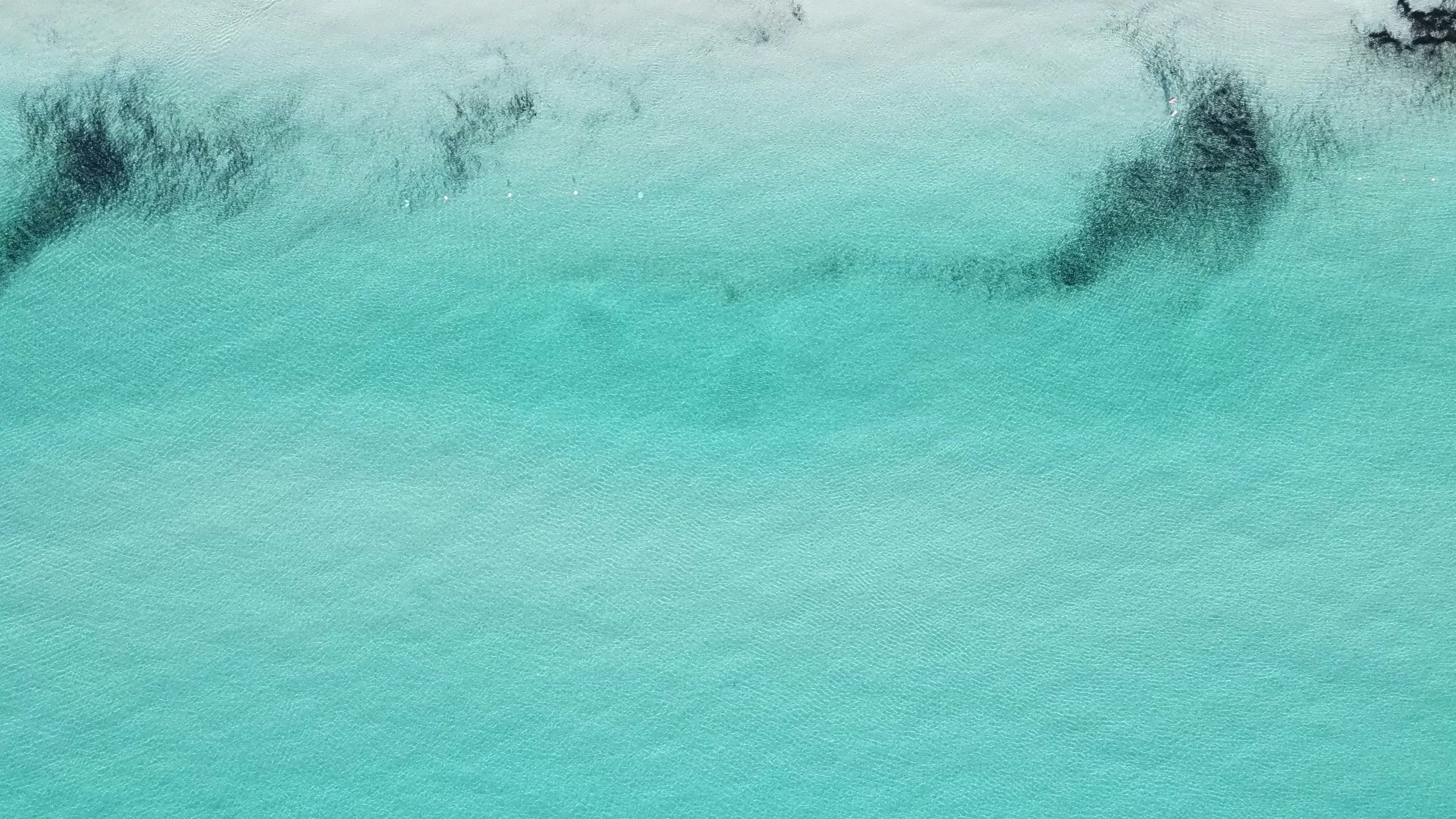 Photo by blackflanella