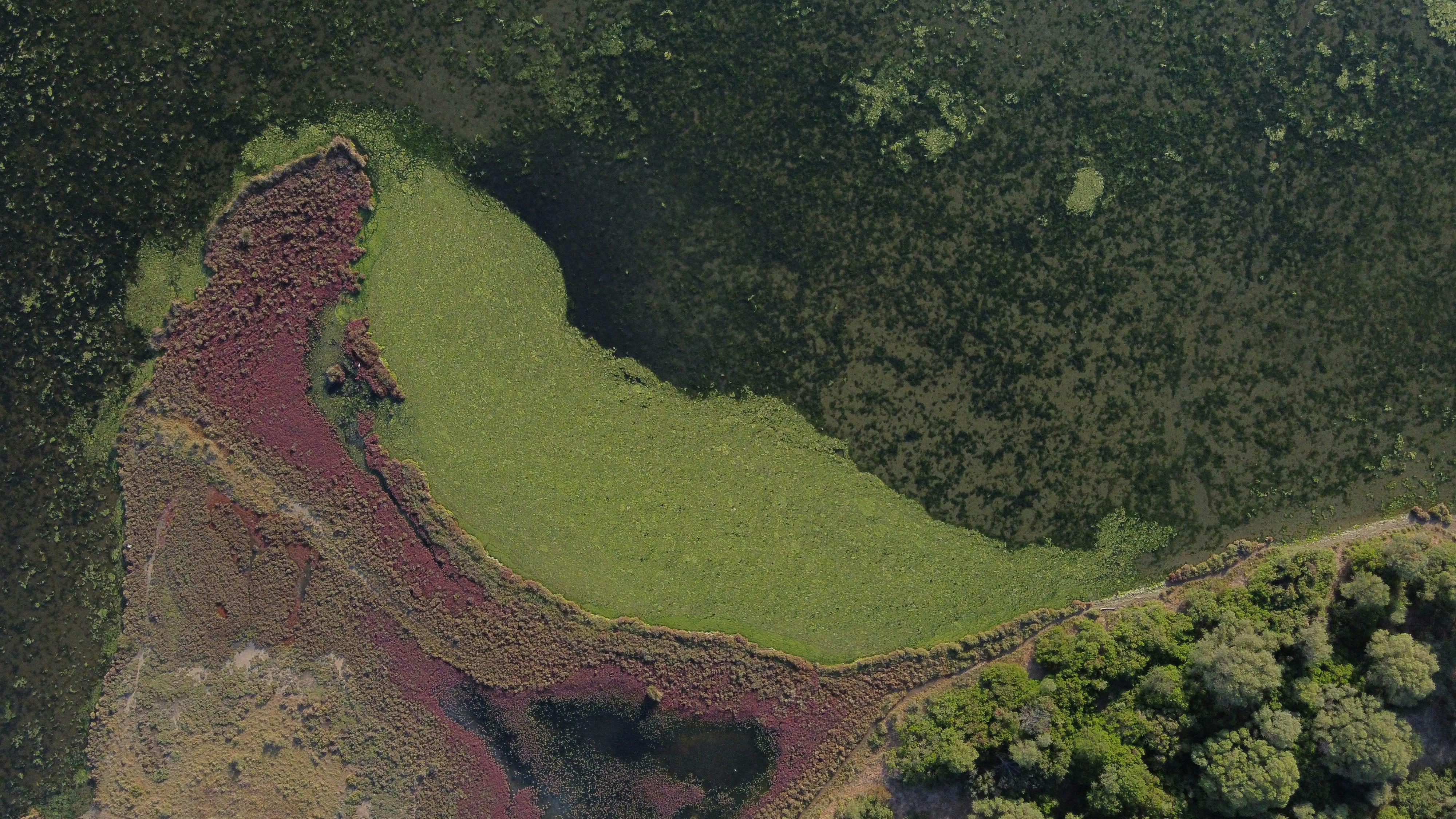 Photo by blackflanella