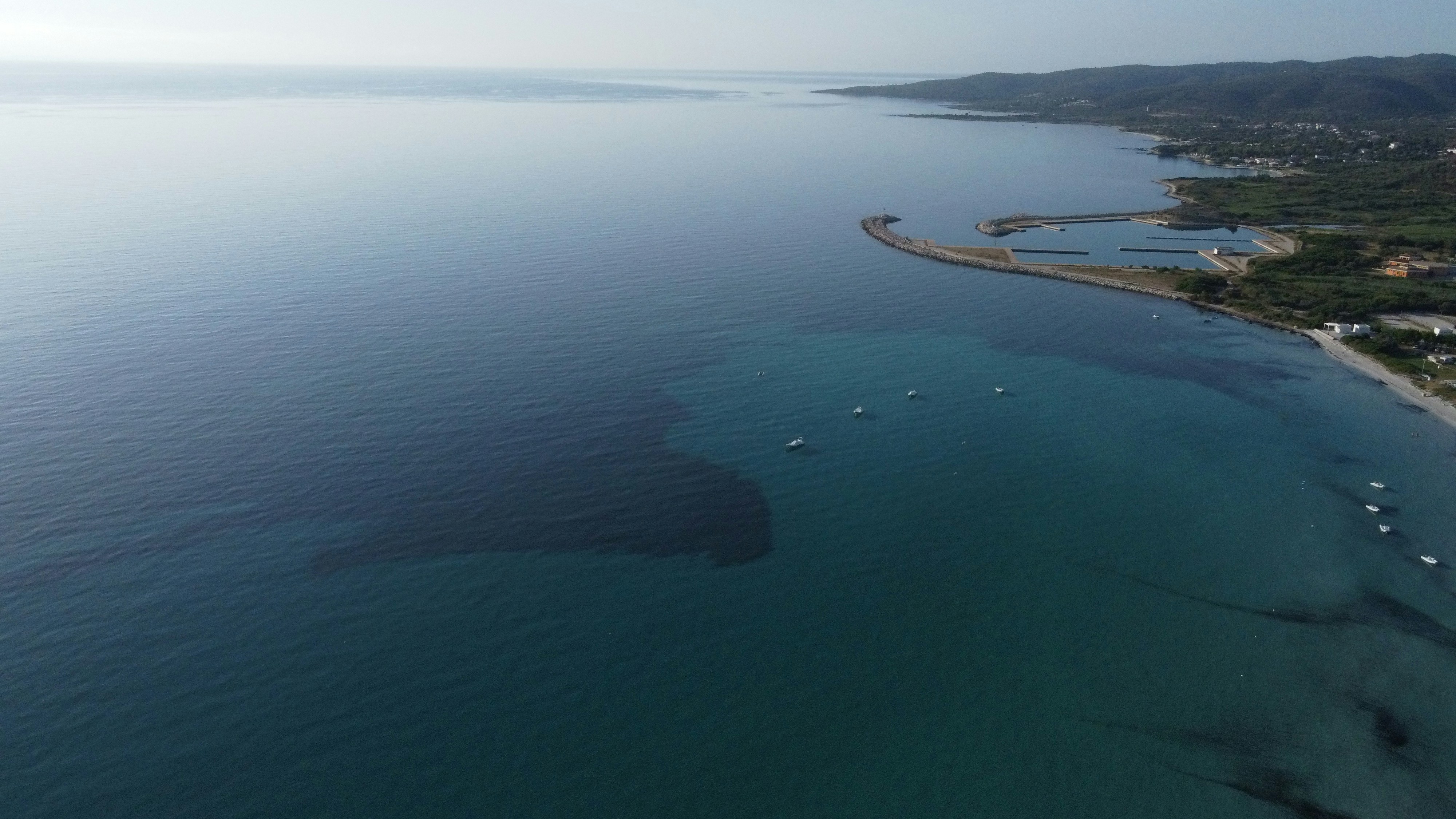 Photo by blackflanella