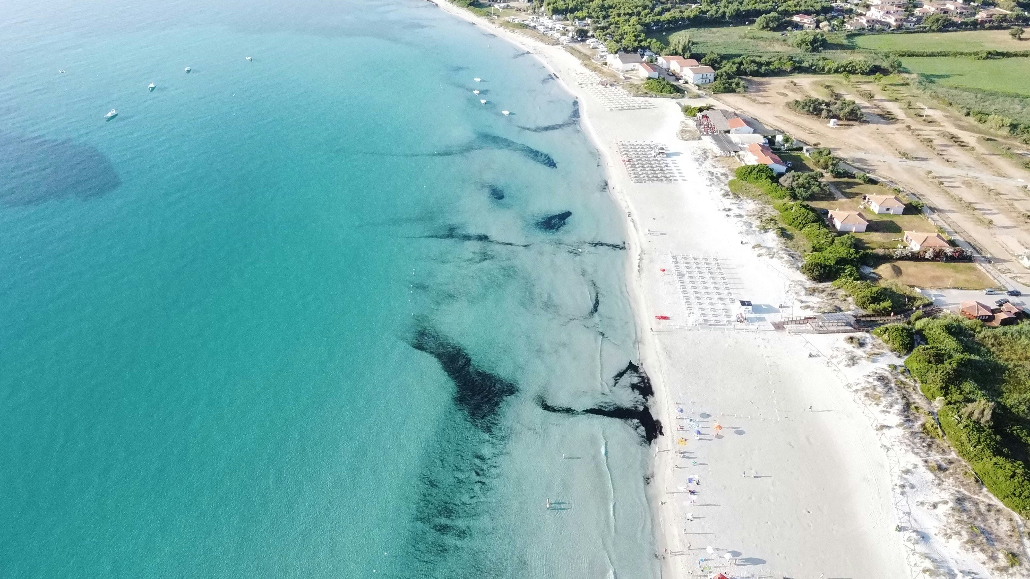 an aerial view of a beach and the ocean