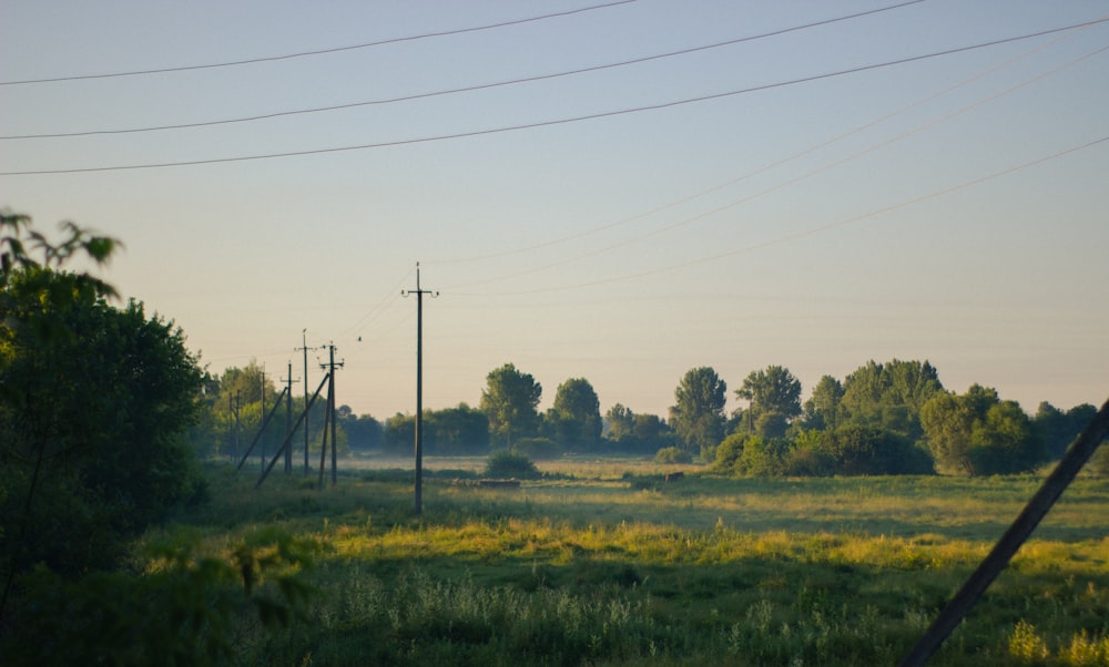 a field with power lines and trees in the background