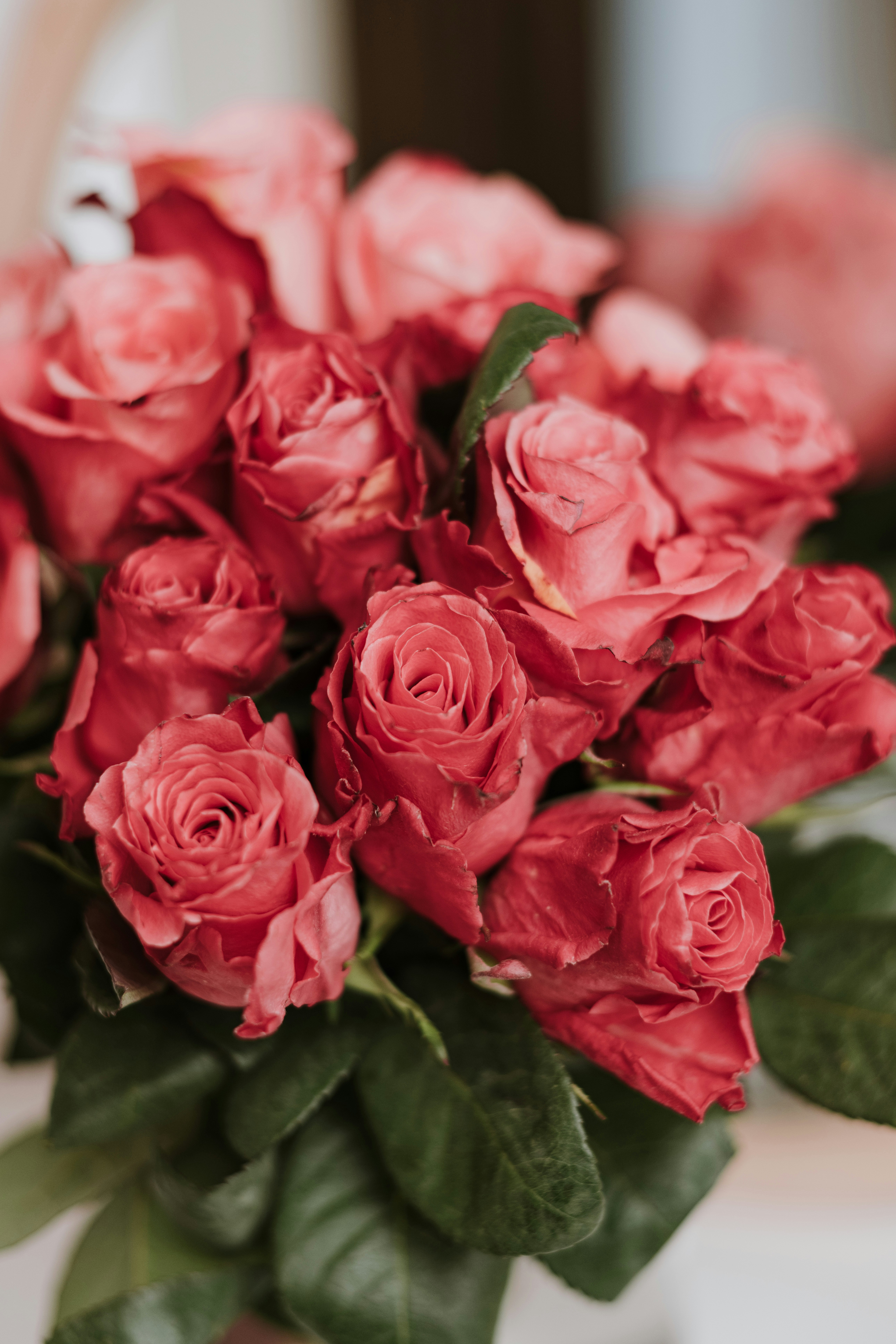 Photo by anitaaustvika