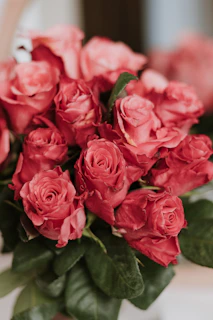 a bouquet of red roses sitting on a table
