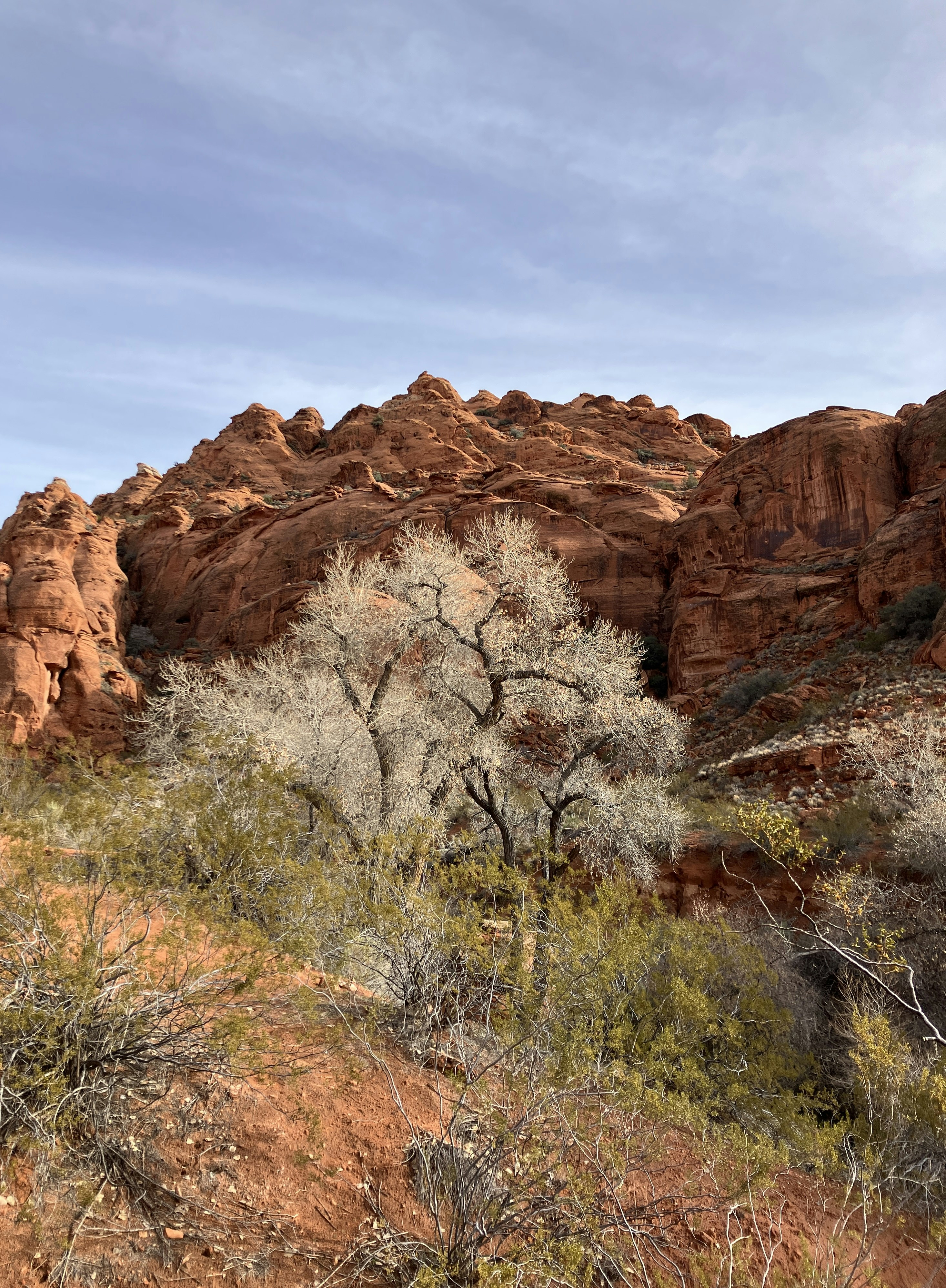 Photo by heathernuffer